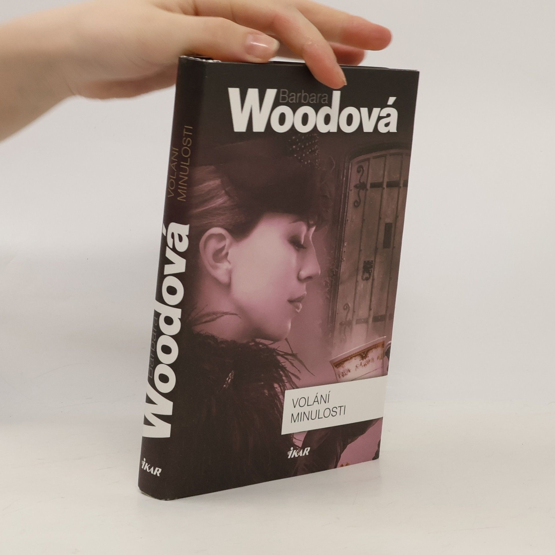 Barbara Wood Volání minulosti
