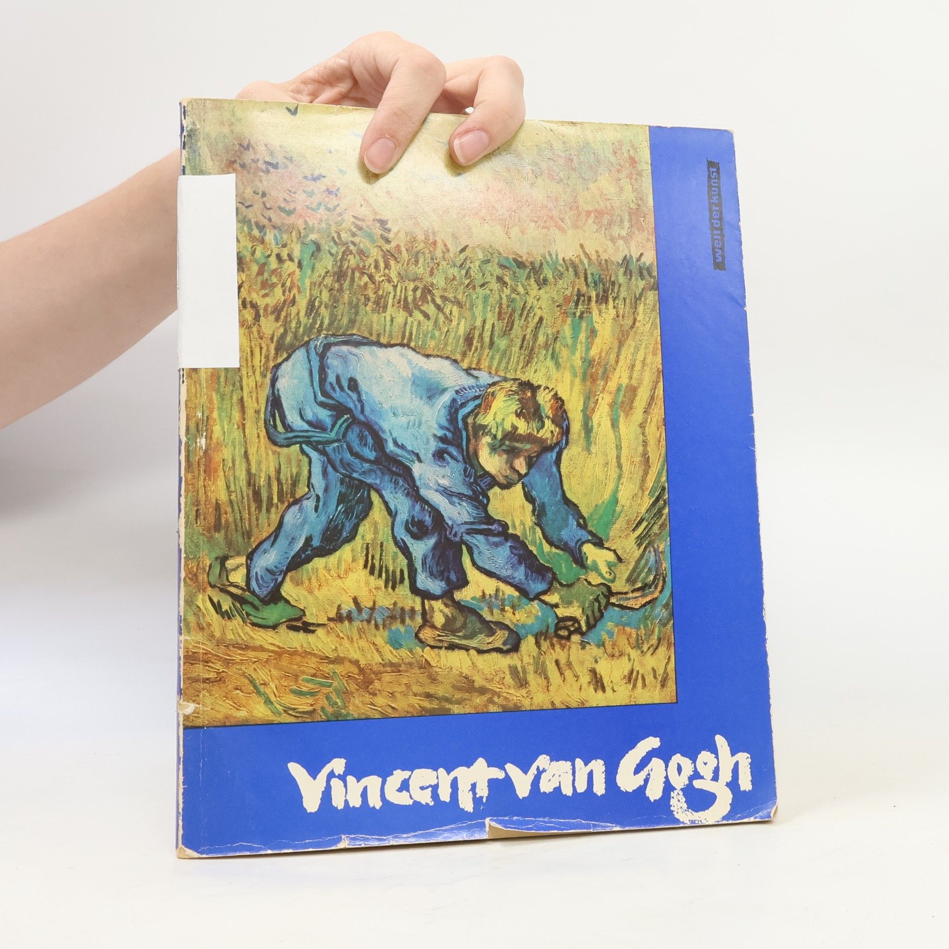 Eva Schumann Vincent van Gogh. Sämtliche Briefe