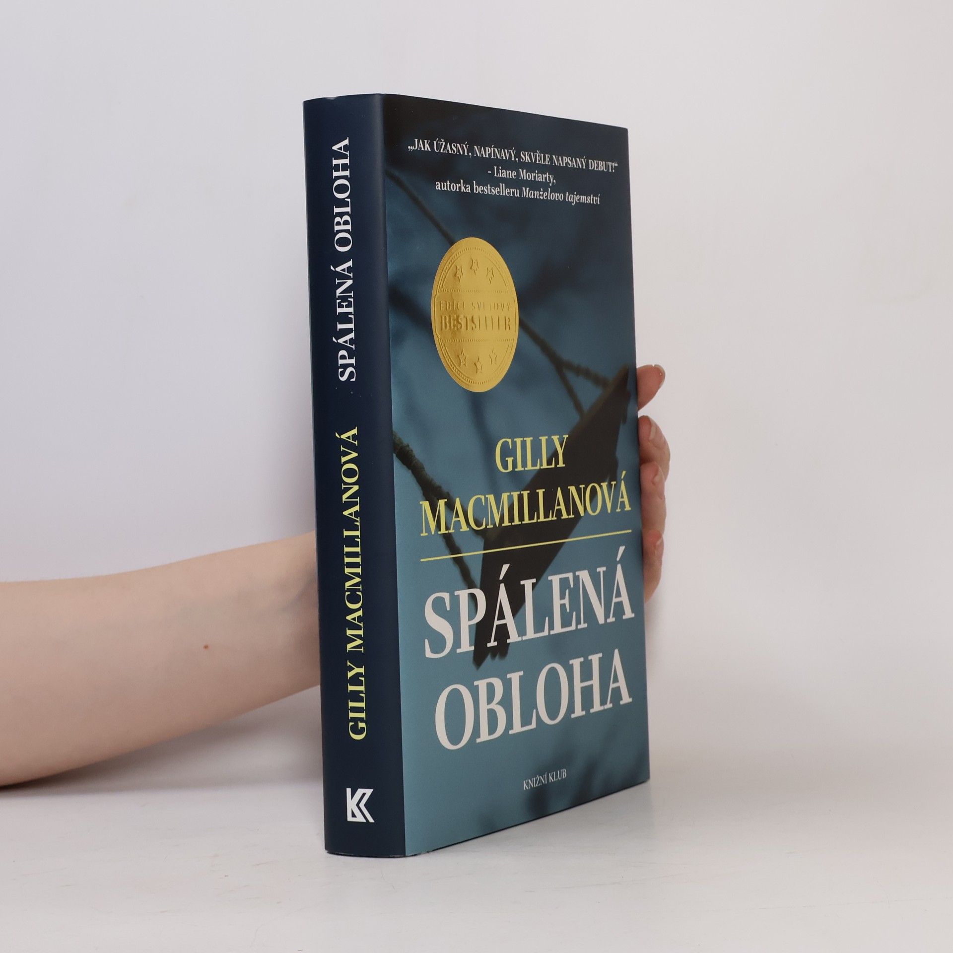 Gilly Macmillan Spálená obloha