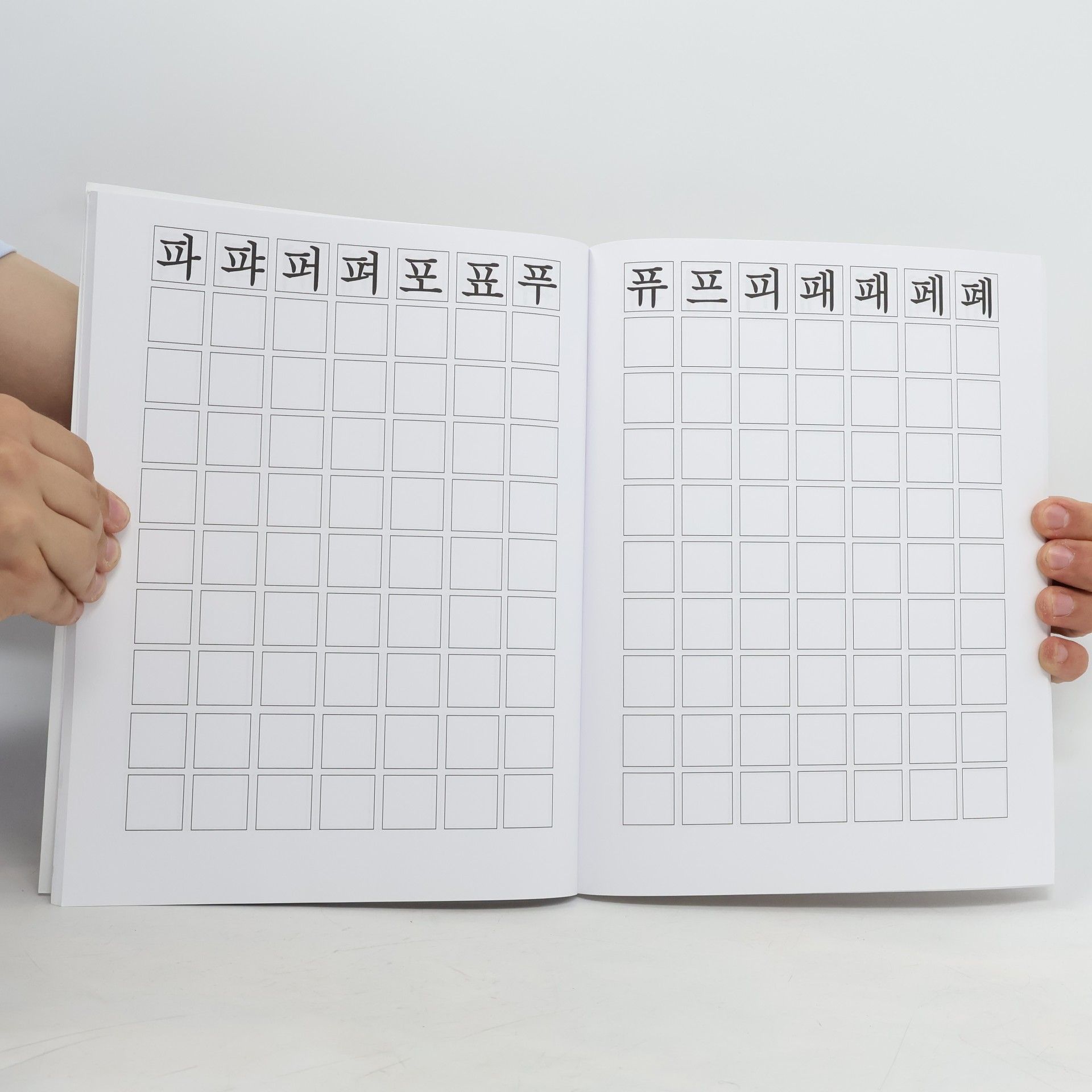 New Ampersand Publishing Easy Learning Fundamental Korean Writing Practice Book