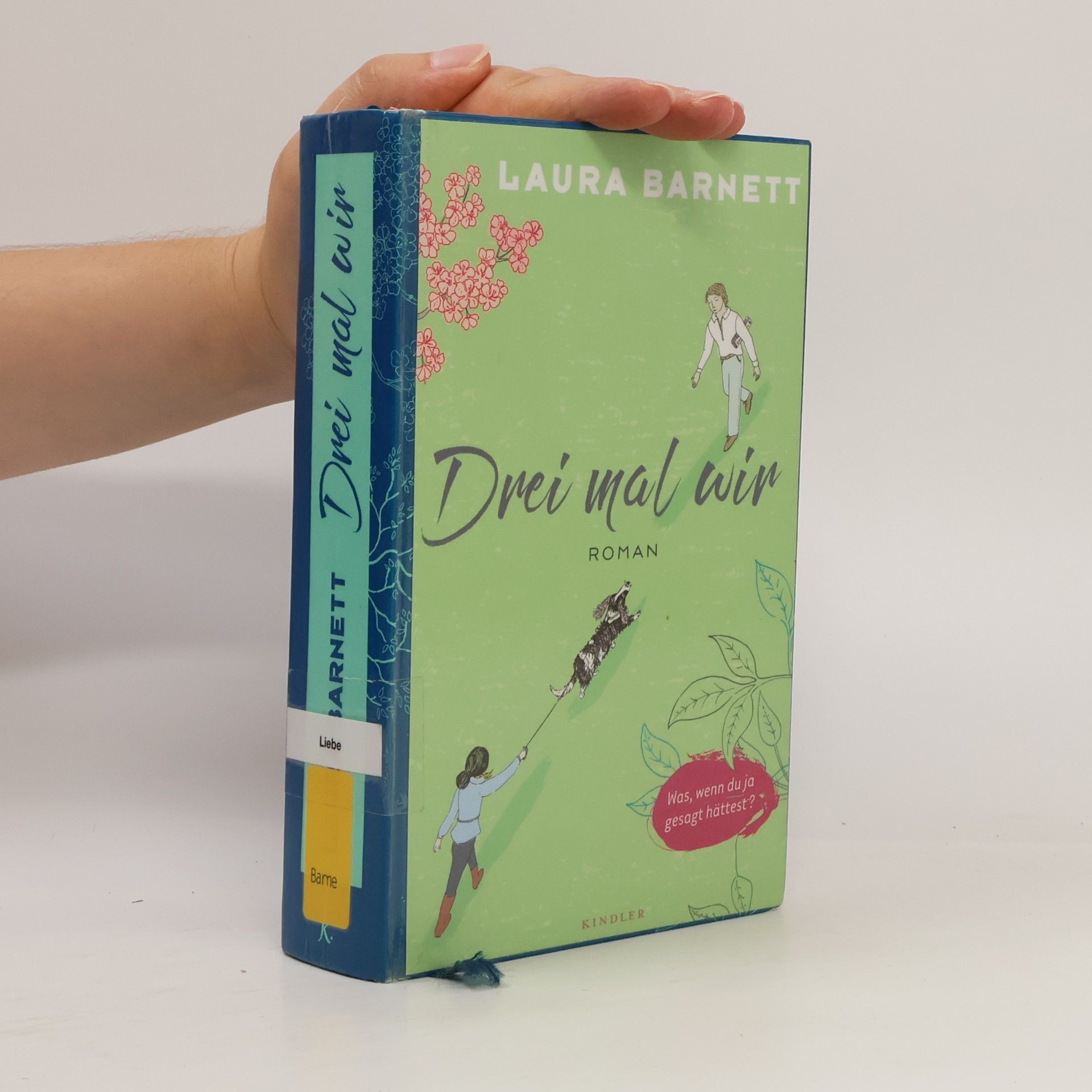 Laura Barnett Drei mal wir