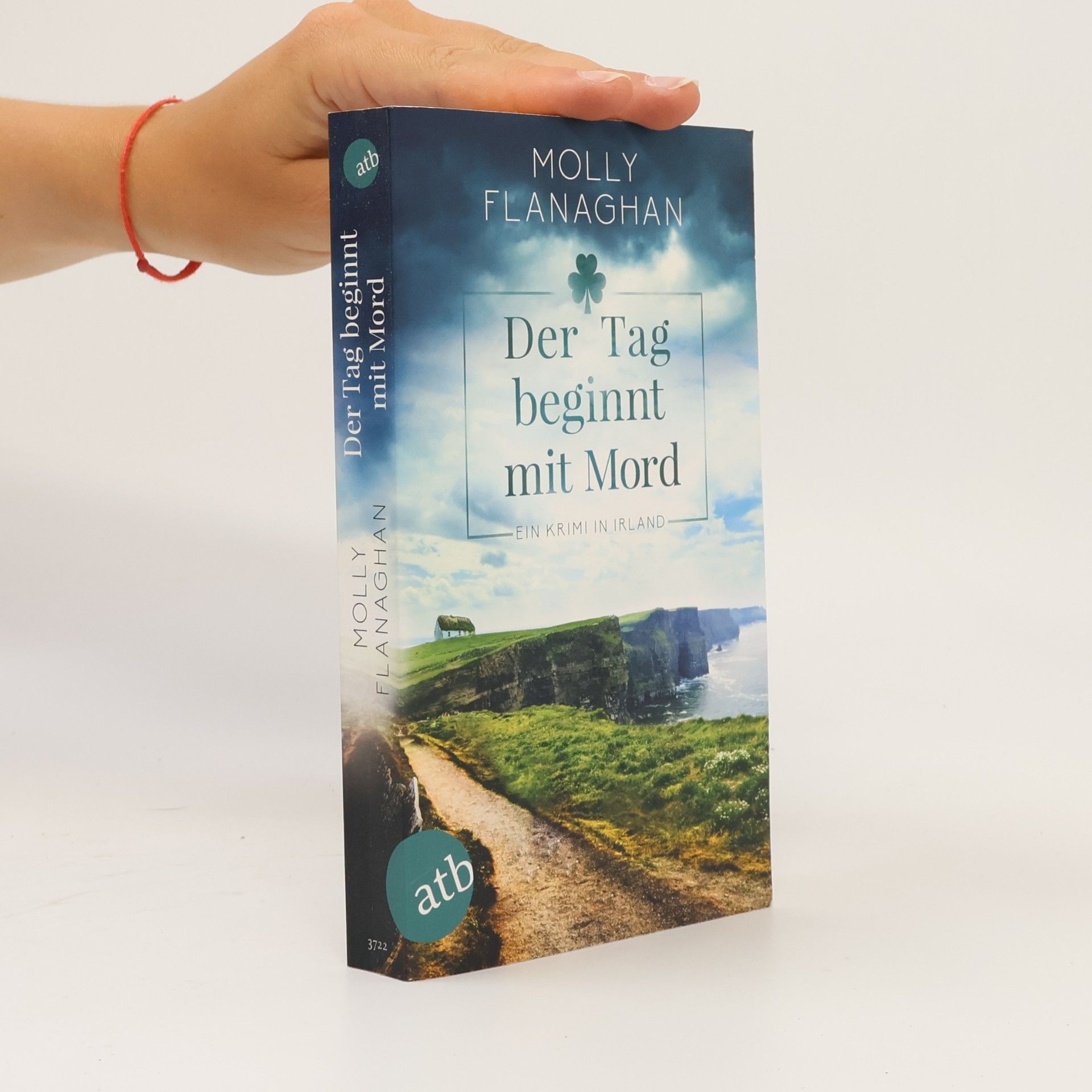 Molly Flanaghan Der Tag beginnt mit Mord