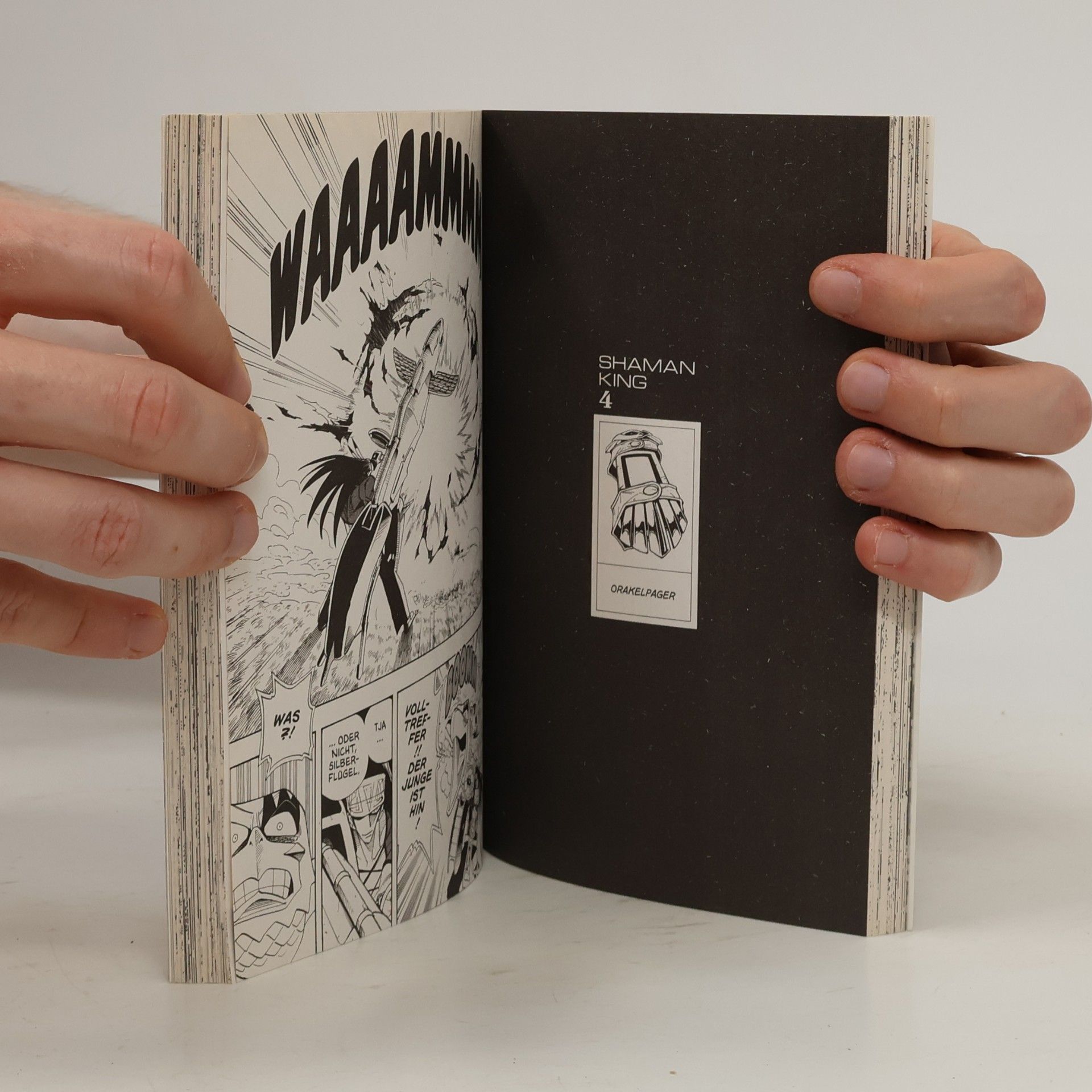 Hiroyuki Takei Shaman King 4