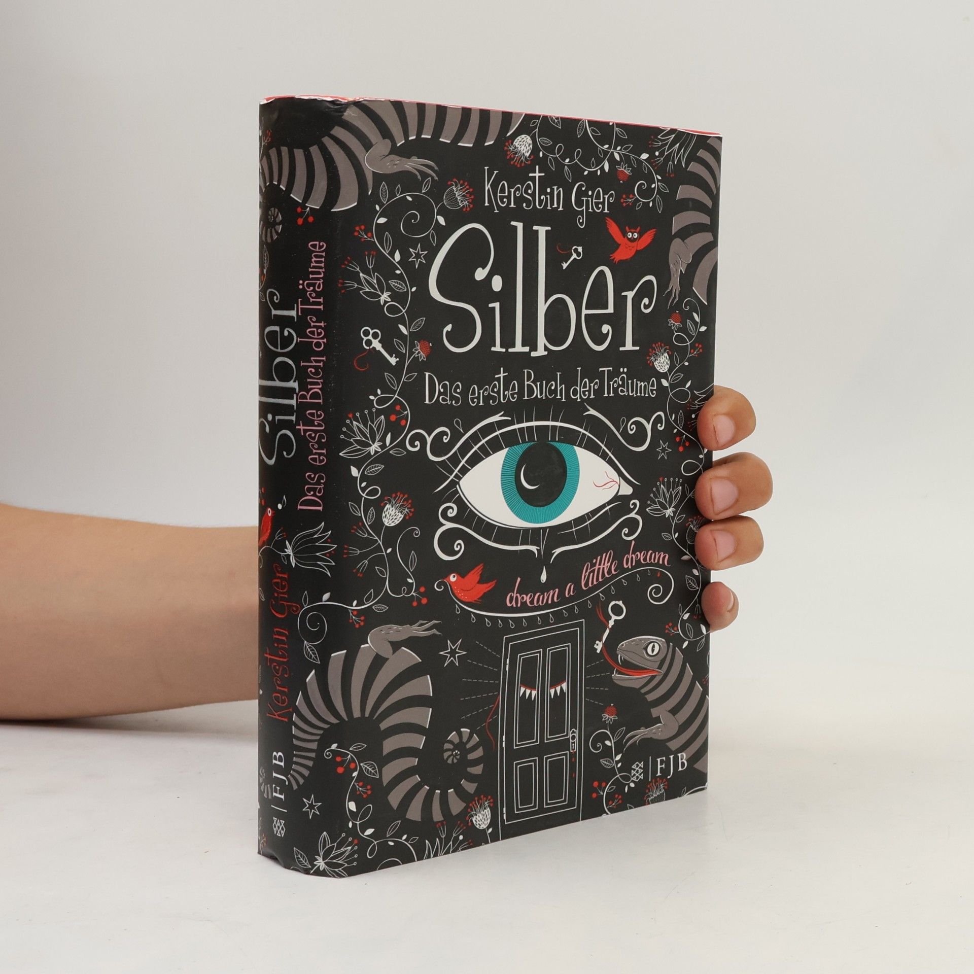 Kerstin Gier Silber. Das erste Buch der Träume