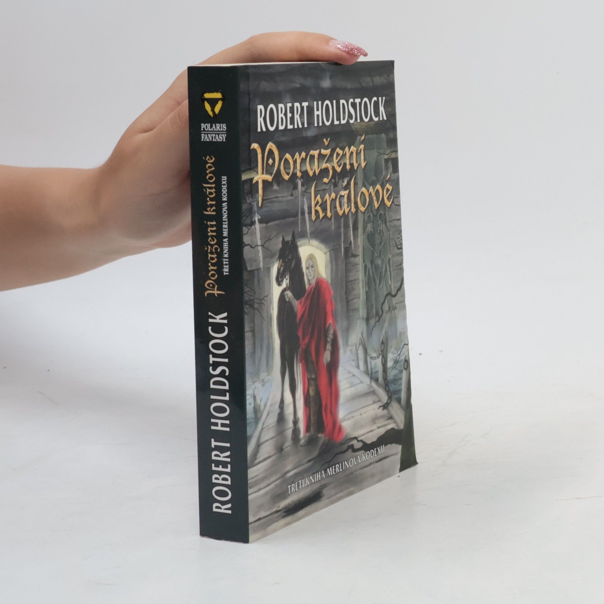 Robert Holdstock Poražení králové : třetí kniha Merlinova kodexu