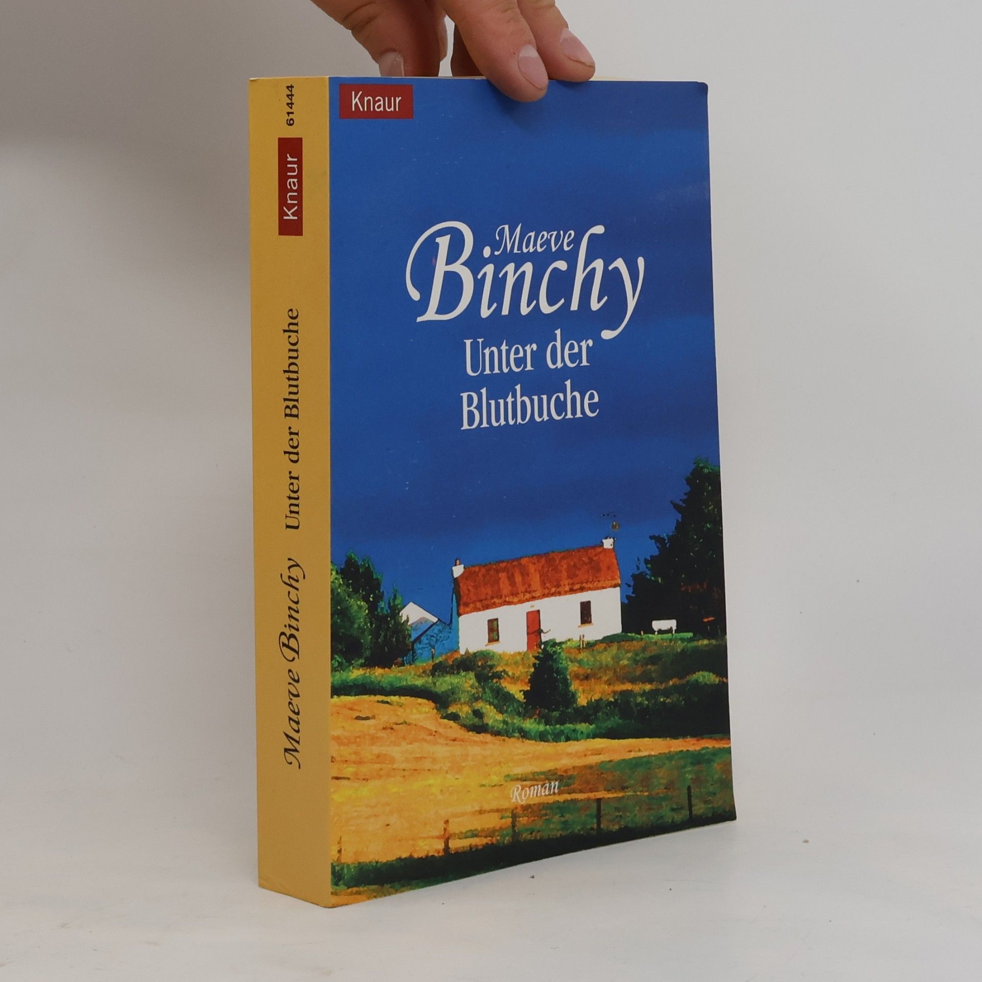 Maeve Binchy Unter der Blutbuche