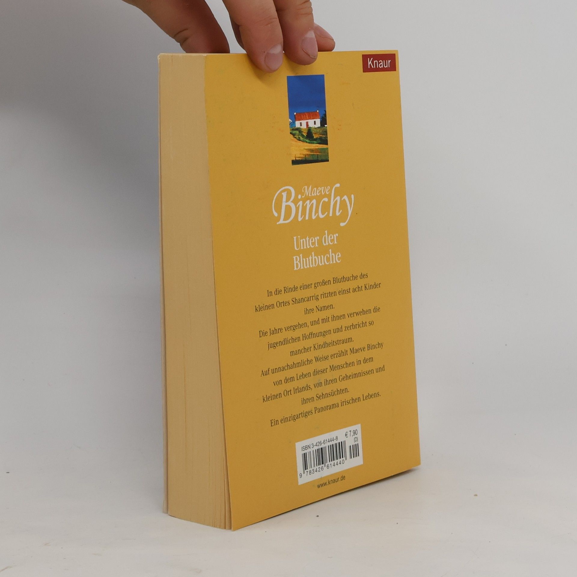 Maeve Binchy Unter der Blutbuche