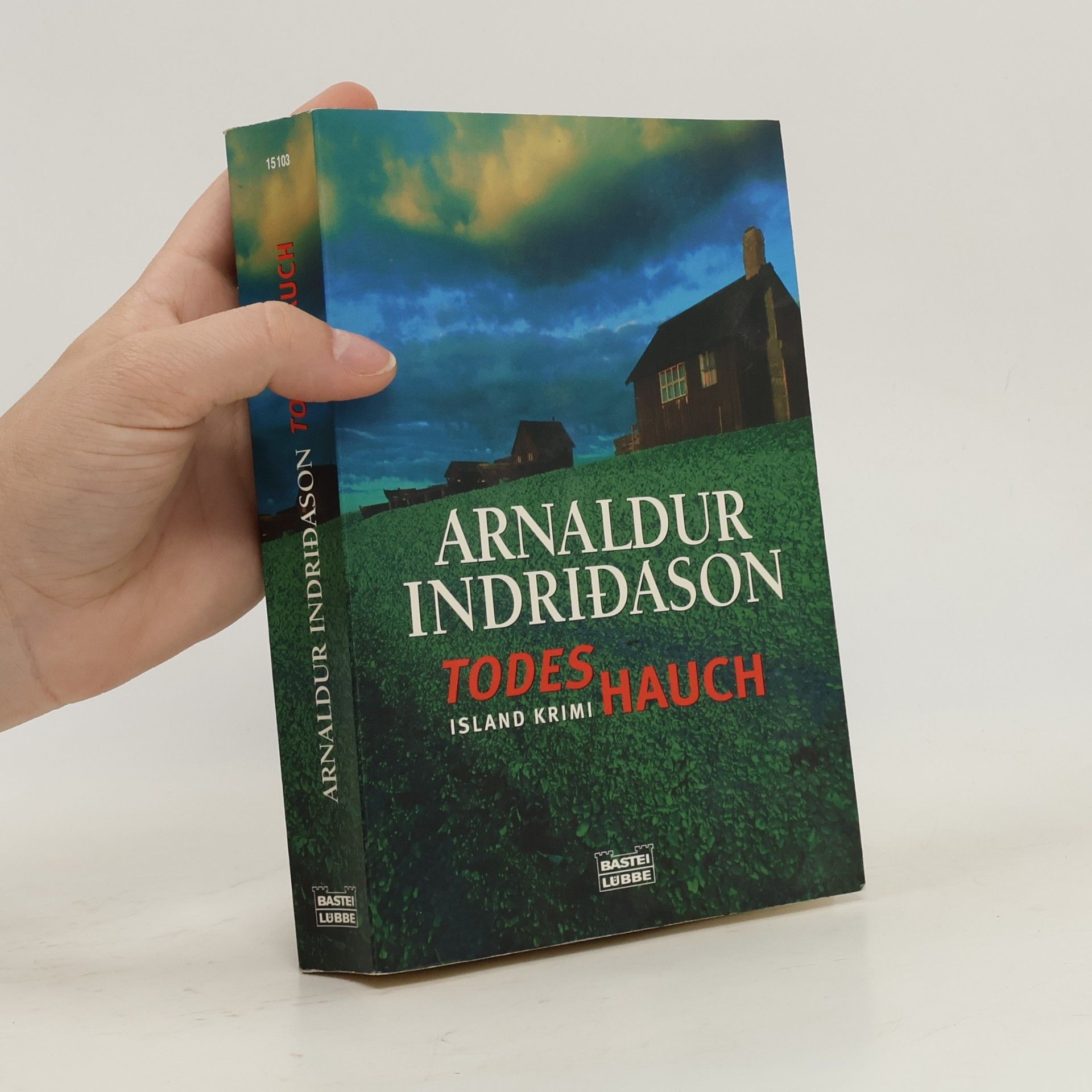 Arnaldur Indridason Todeshauch