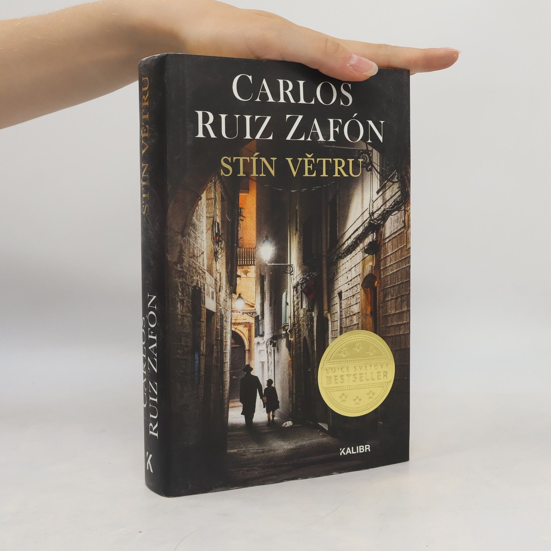 Carlos Ruiz Zafón Stín větru