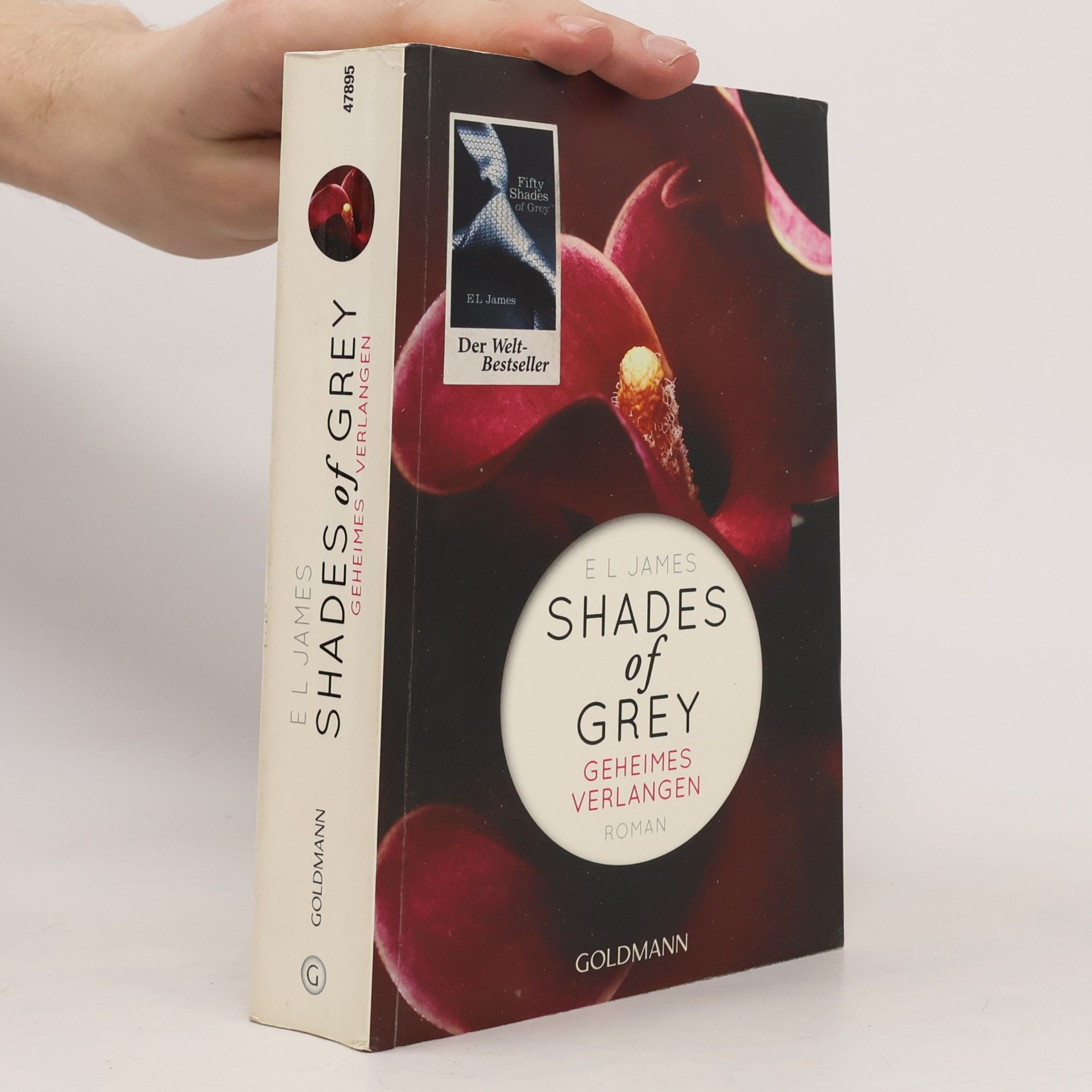 Shades of Grey. Geheimes Verlangen