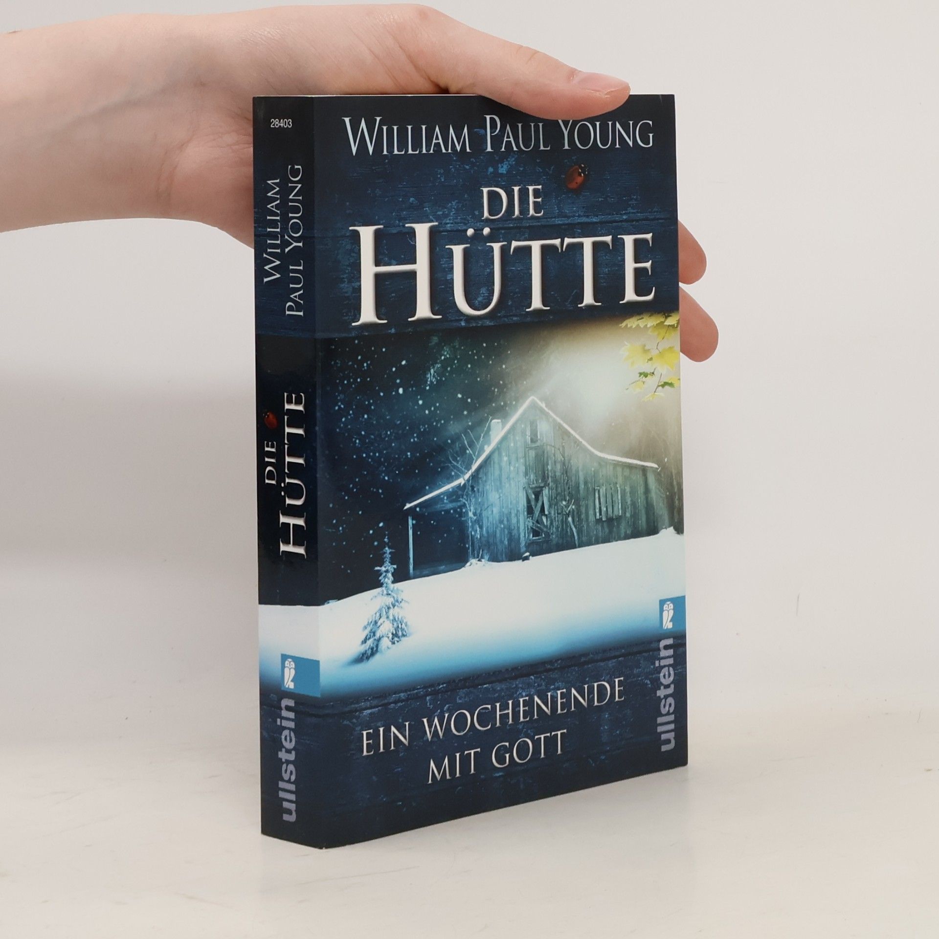 William P. Young Die Hütte