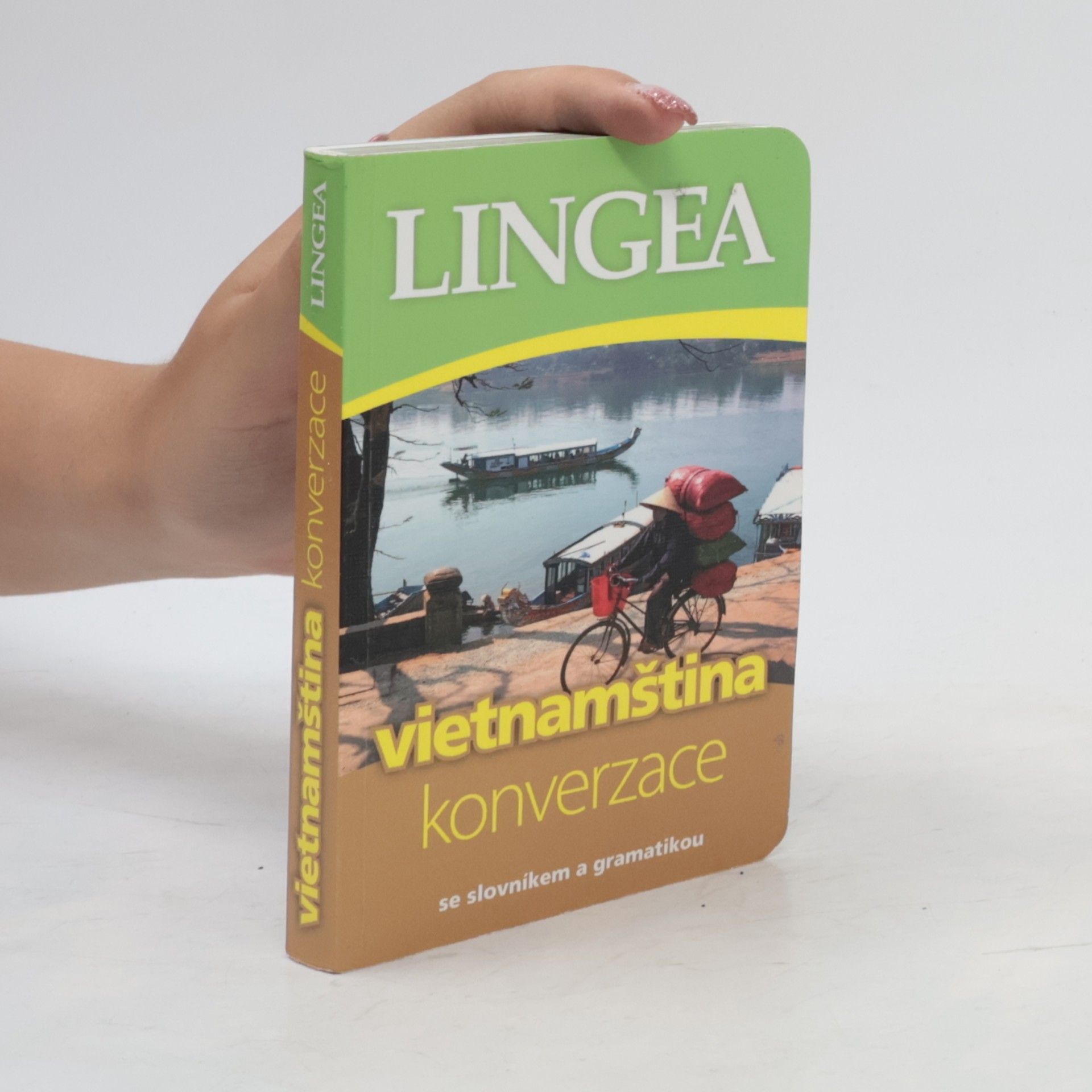 AA.VV. Vietnamština - konverzace
