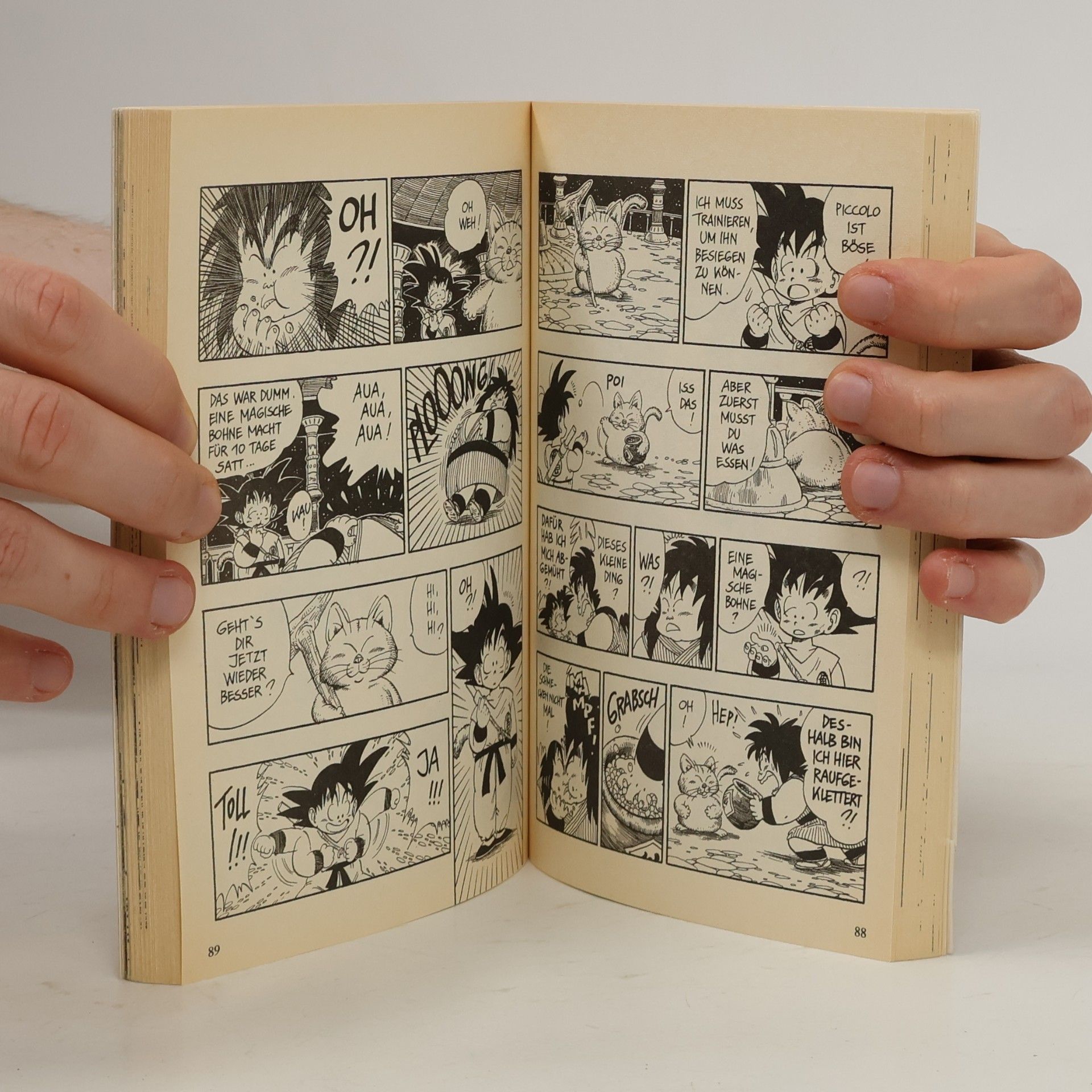 Akira Toriyama Dragon Ball 13