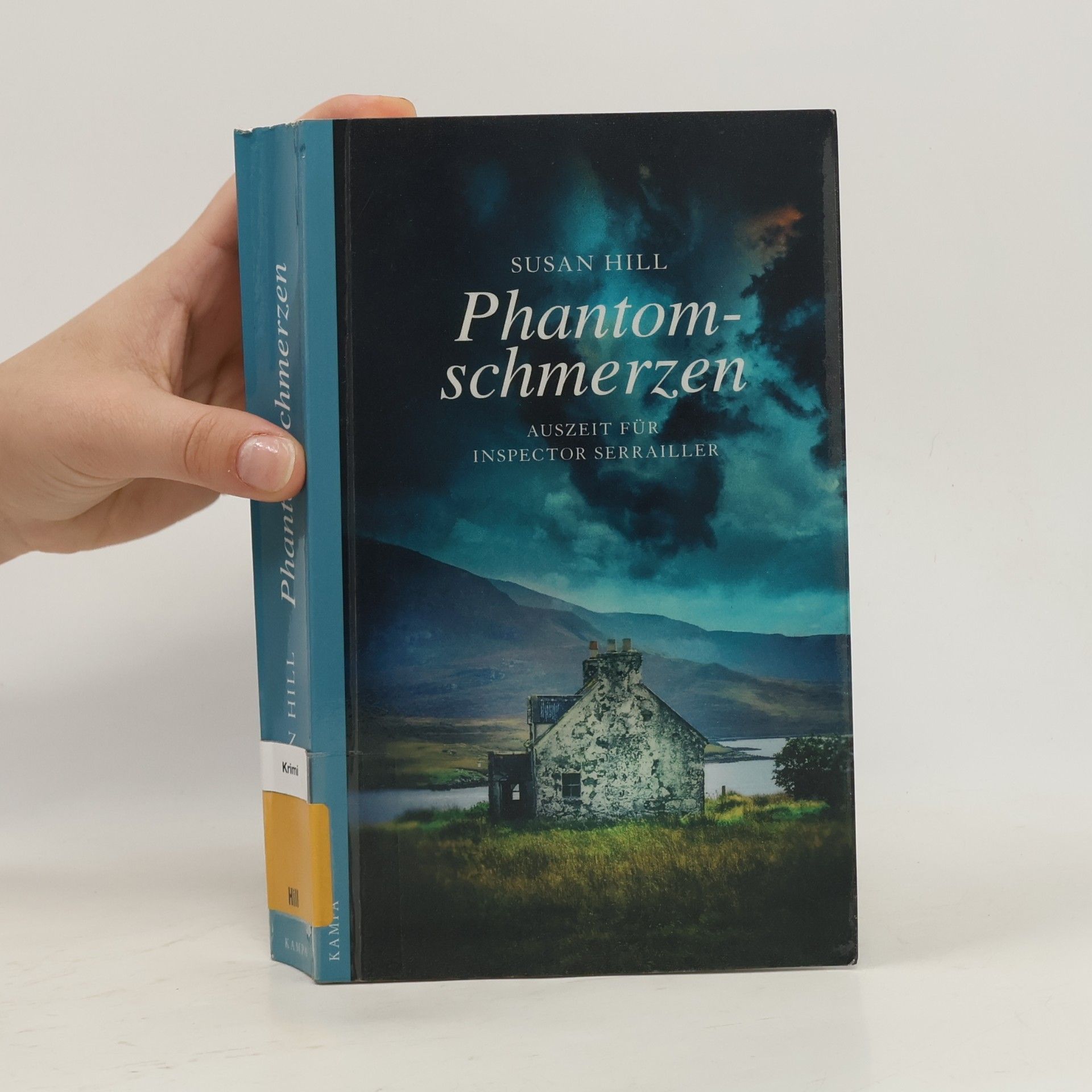 Susan Hill Phantomschmerzen