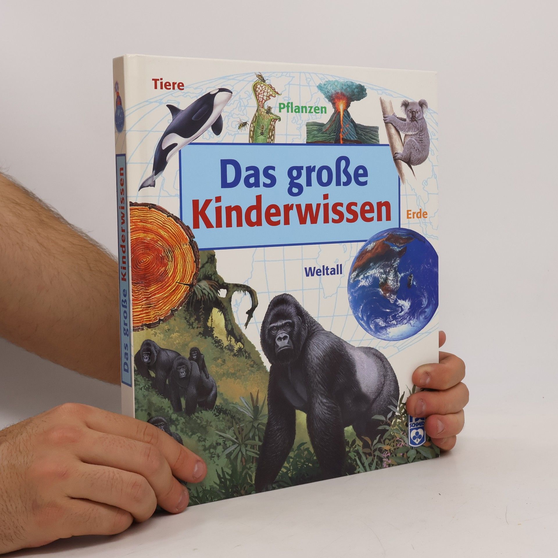 Ursula Klocker Das große Kinderwissen