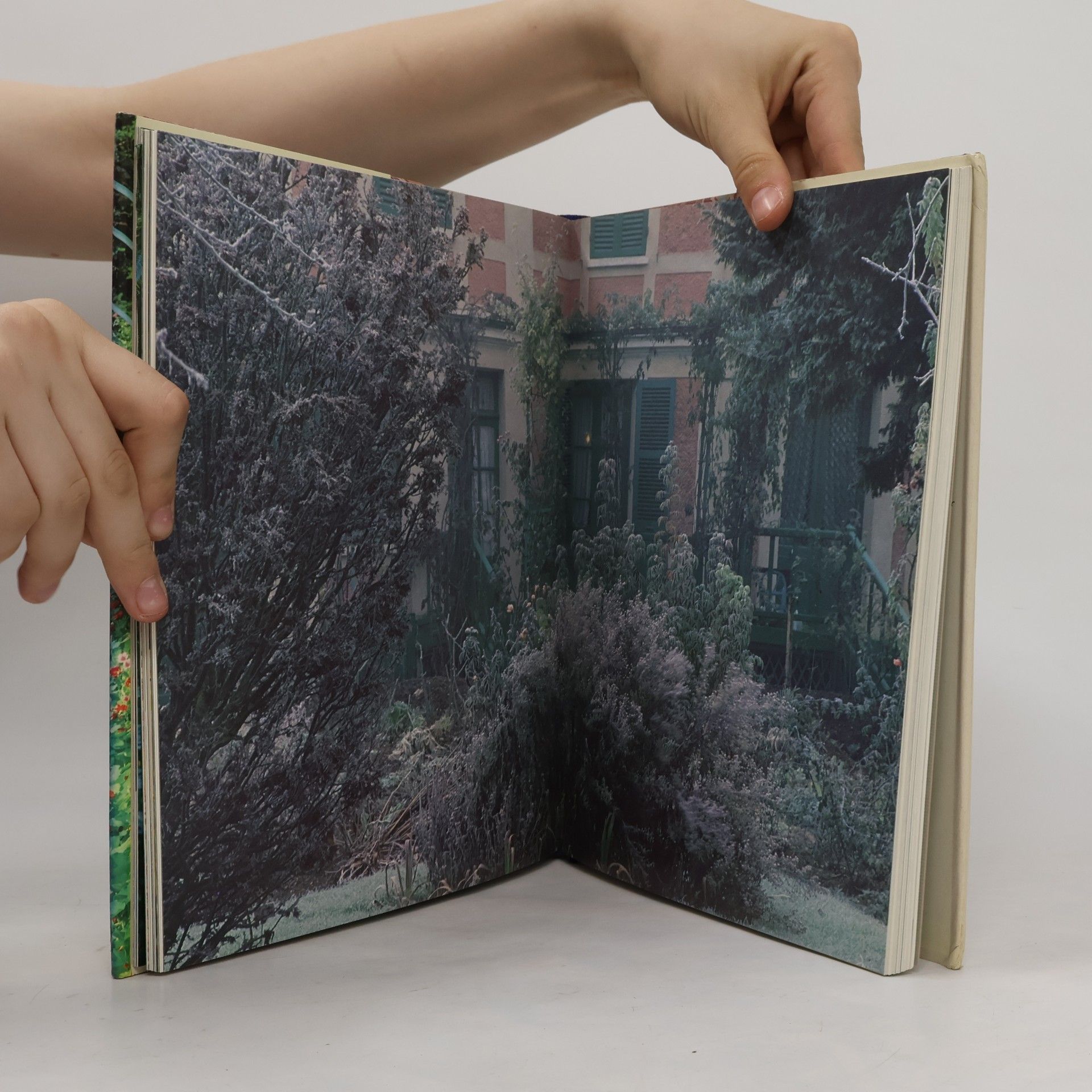Claire Joyes Zu Gast bei Claude Monet