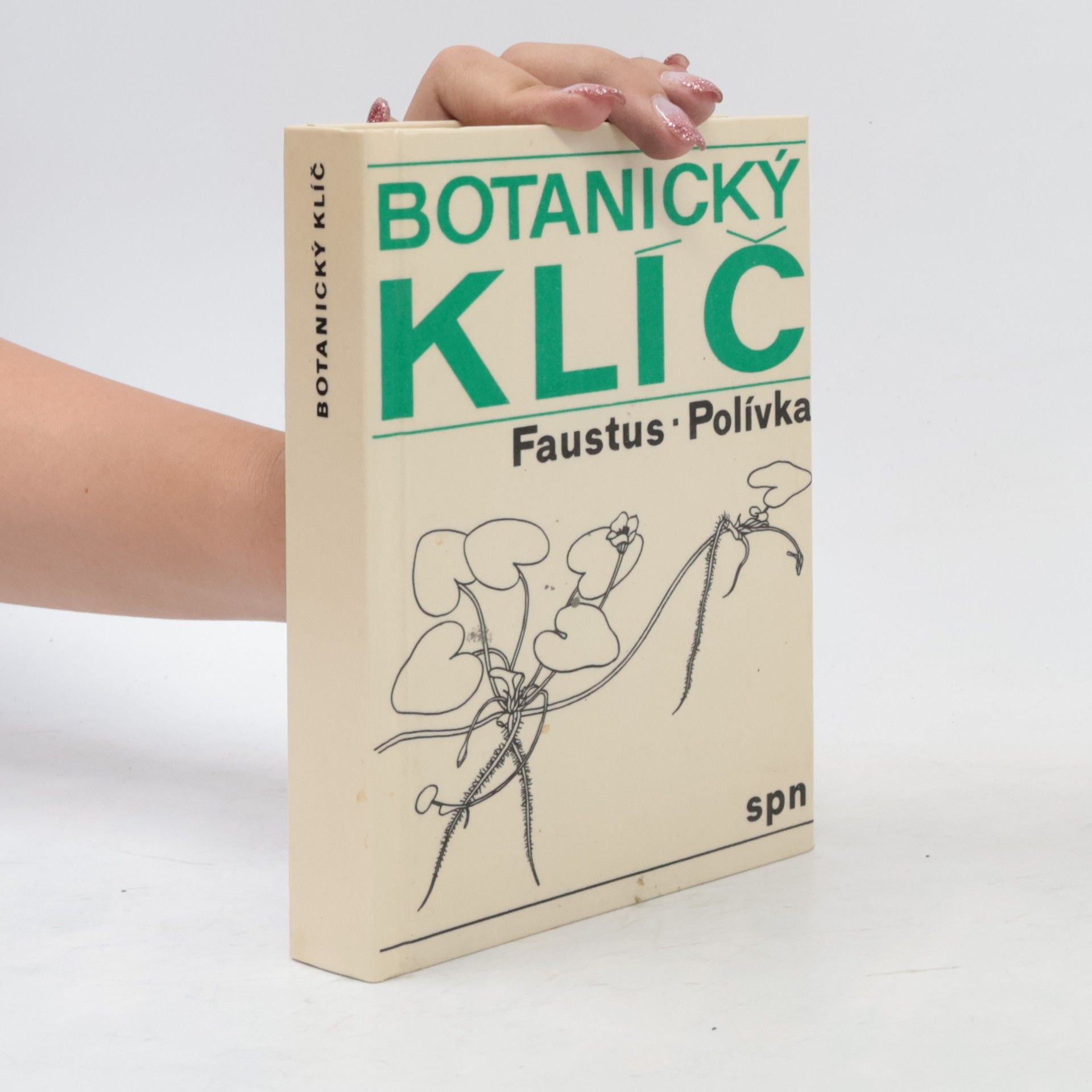Luděk Faustus Botanický klíč