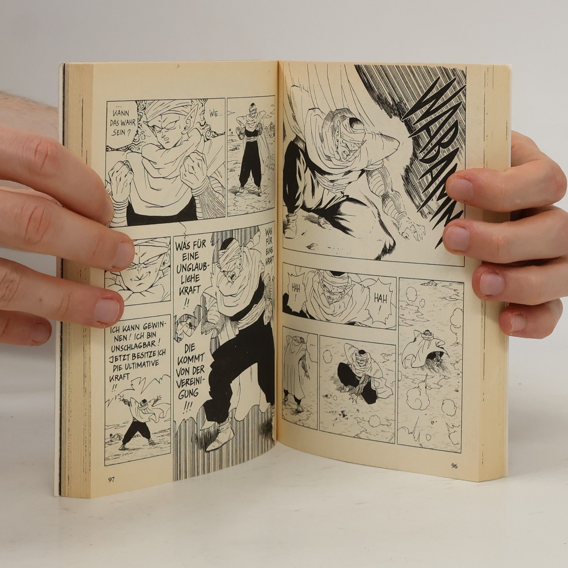 Akira Toriyama Dragon Ball 25