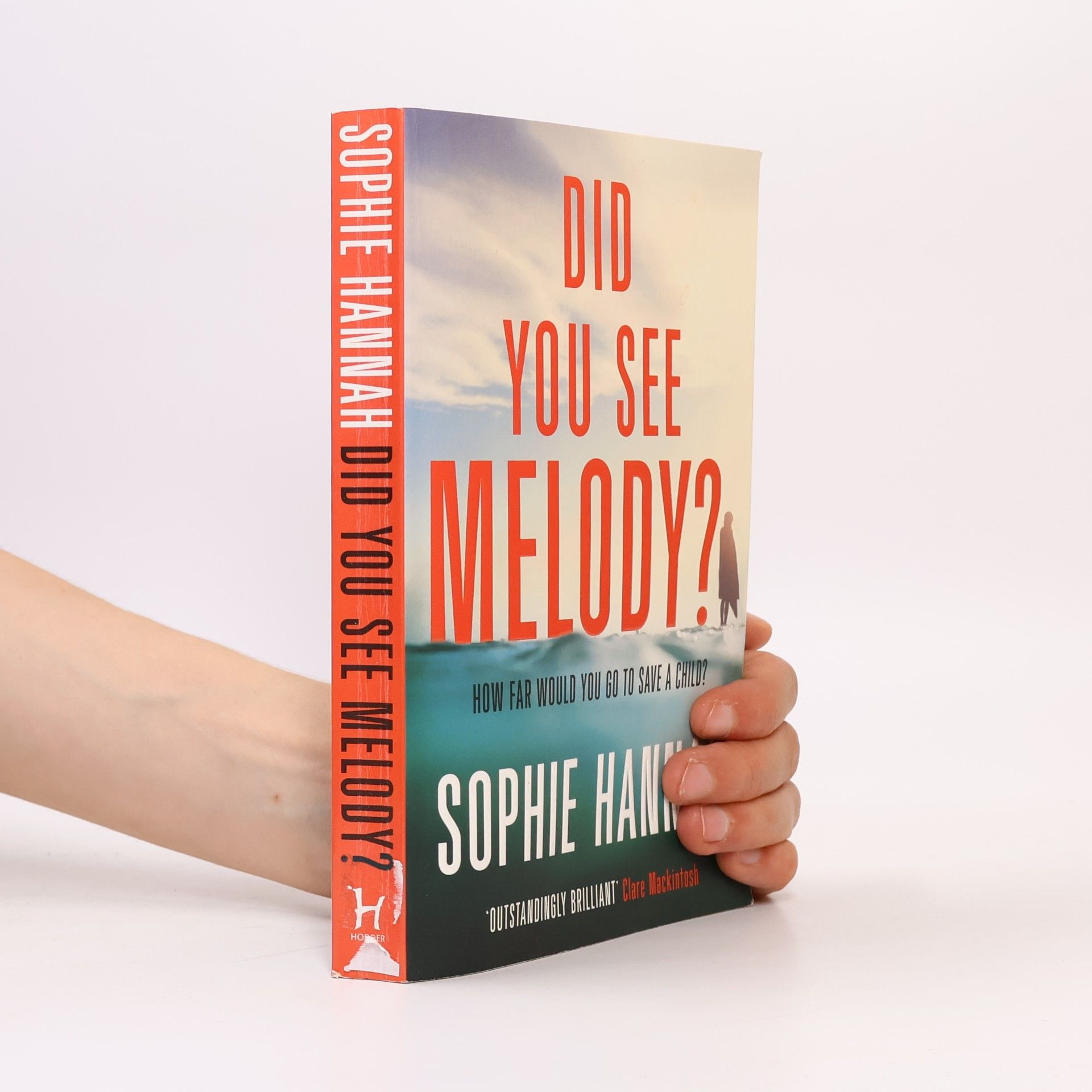 Sophie Hannah Did You See Melody?