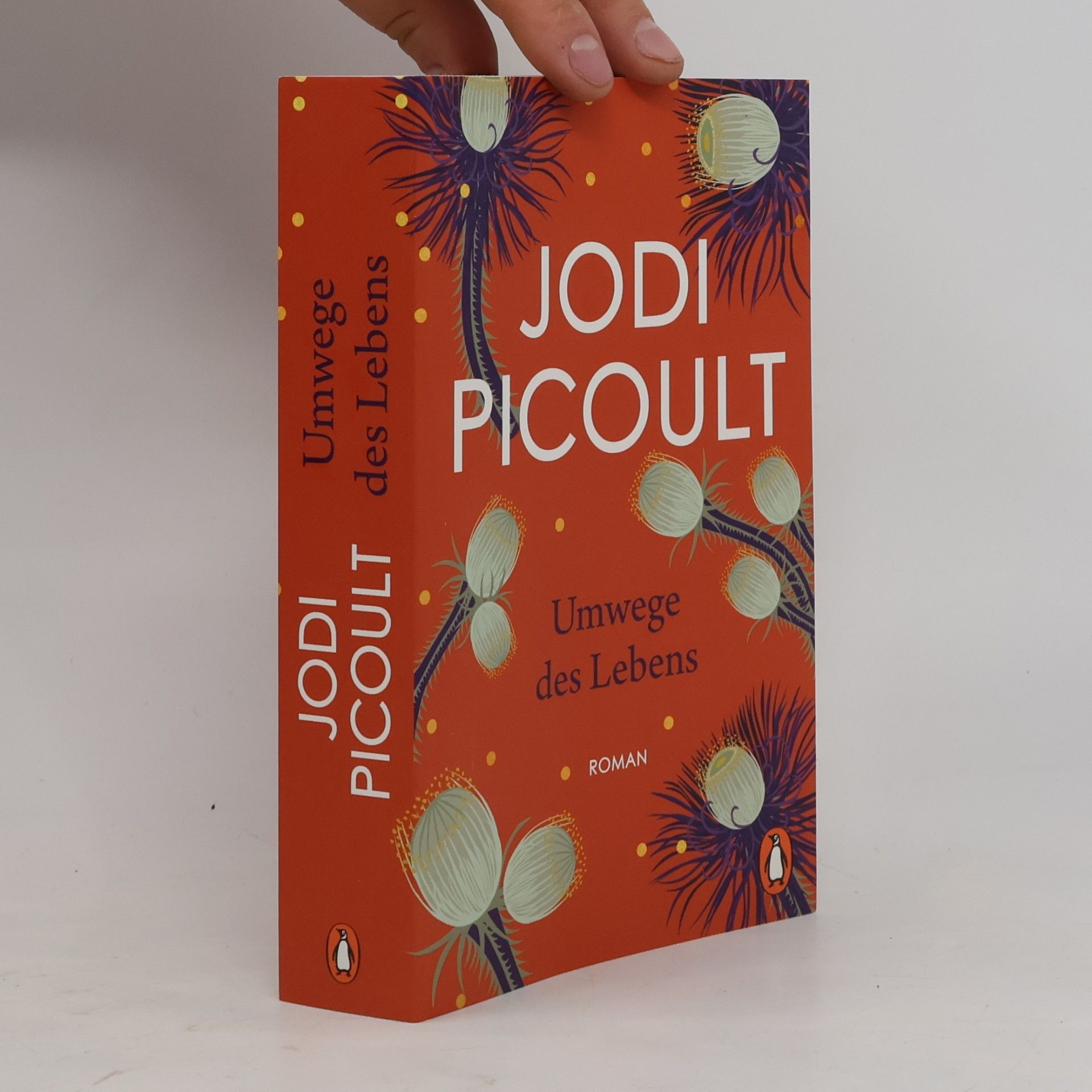 Jodi Picoult Umwege des Lebens