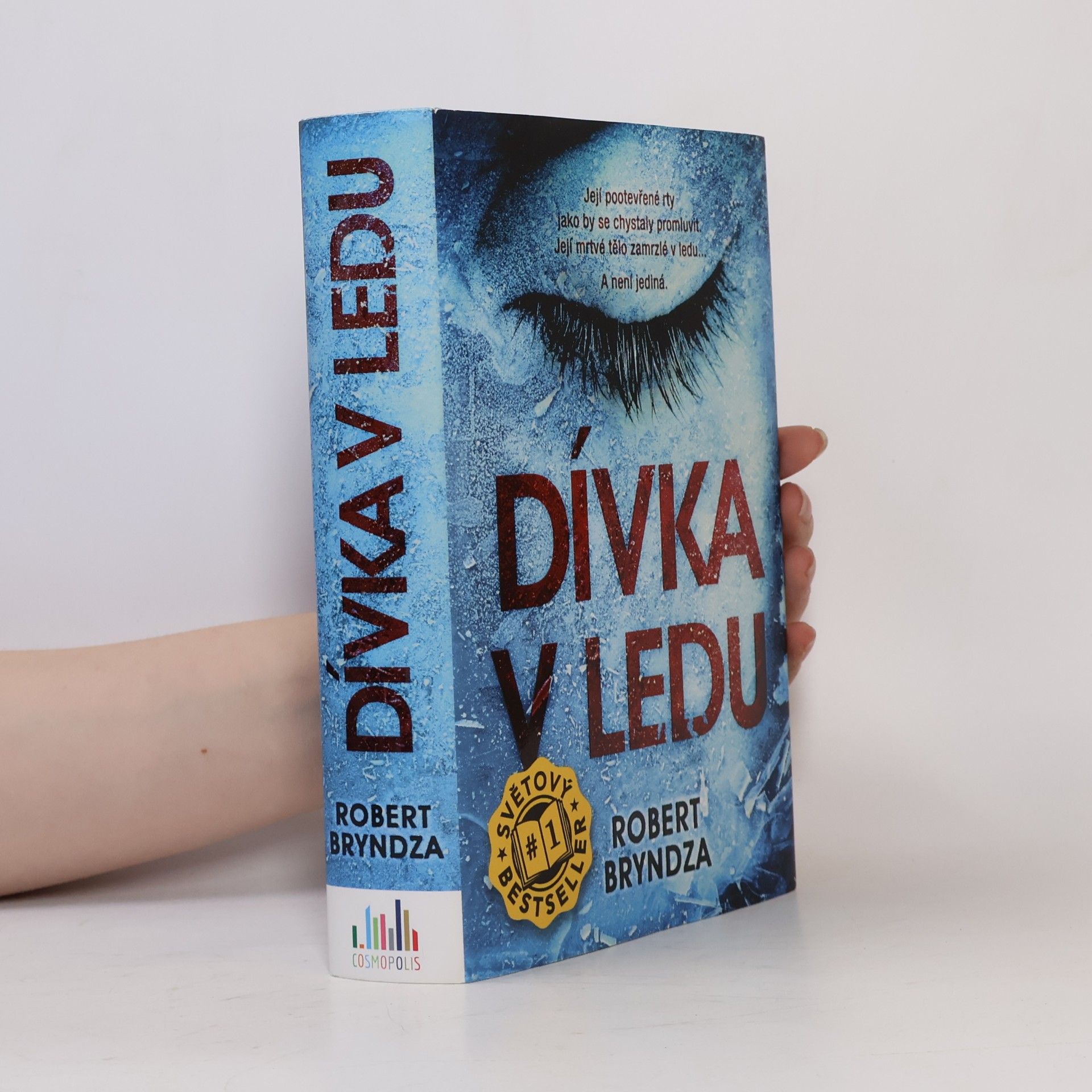Robert Bryndza Dívka v ledu