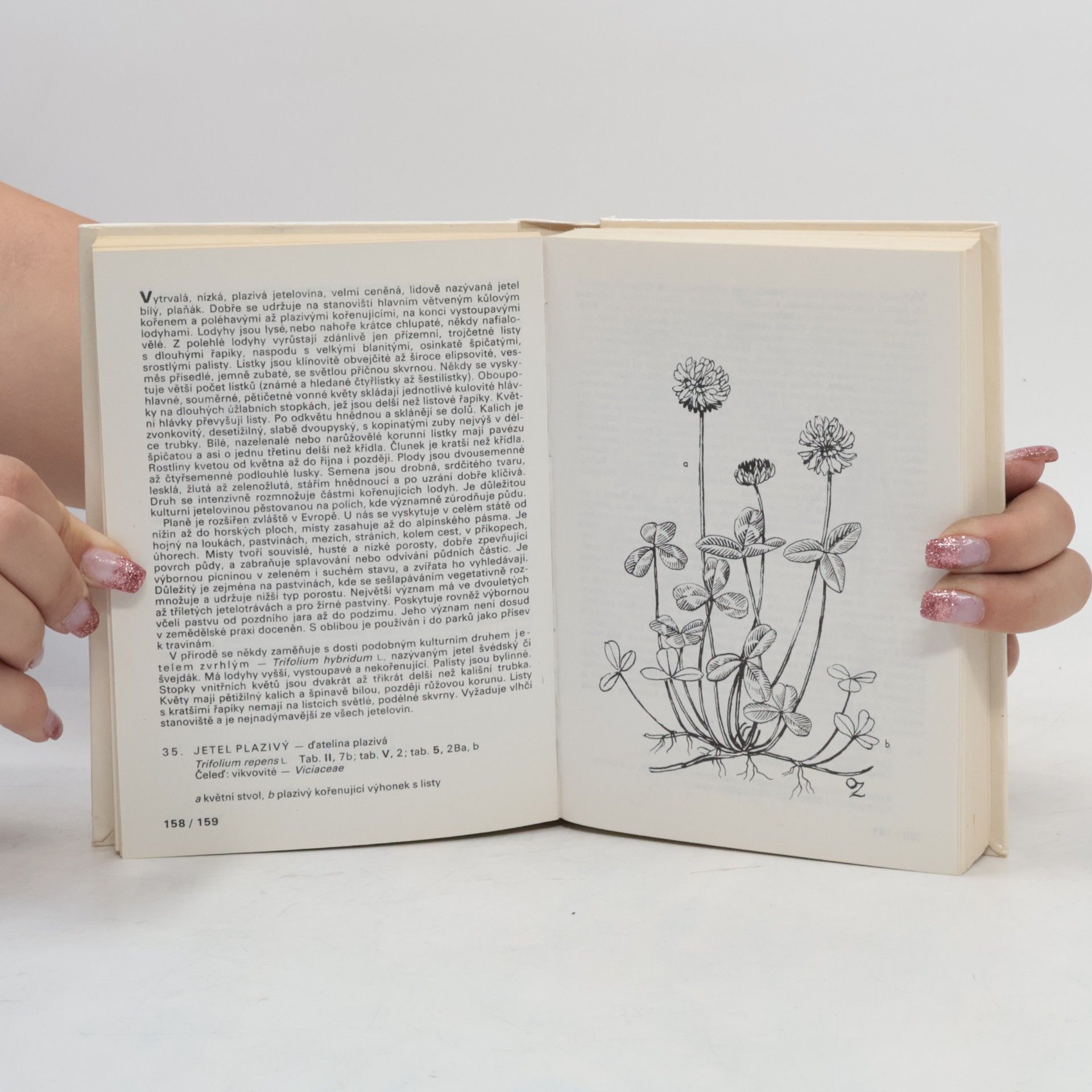 Otakar Zejbrlík Kapesní atlas. Rostliny luk, pastvin, vod a bažin
