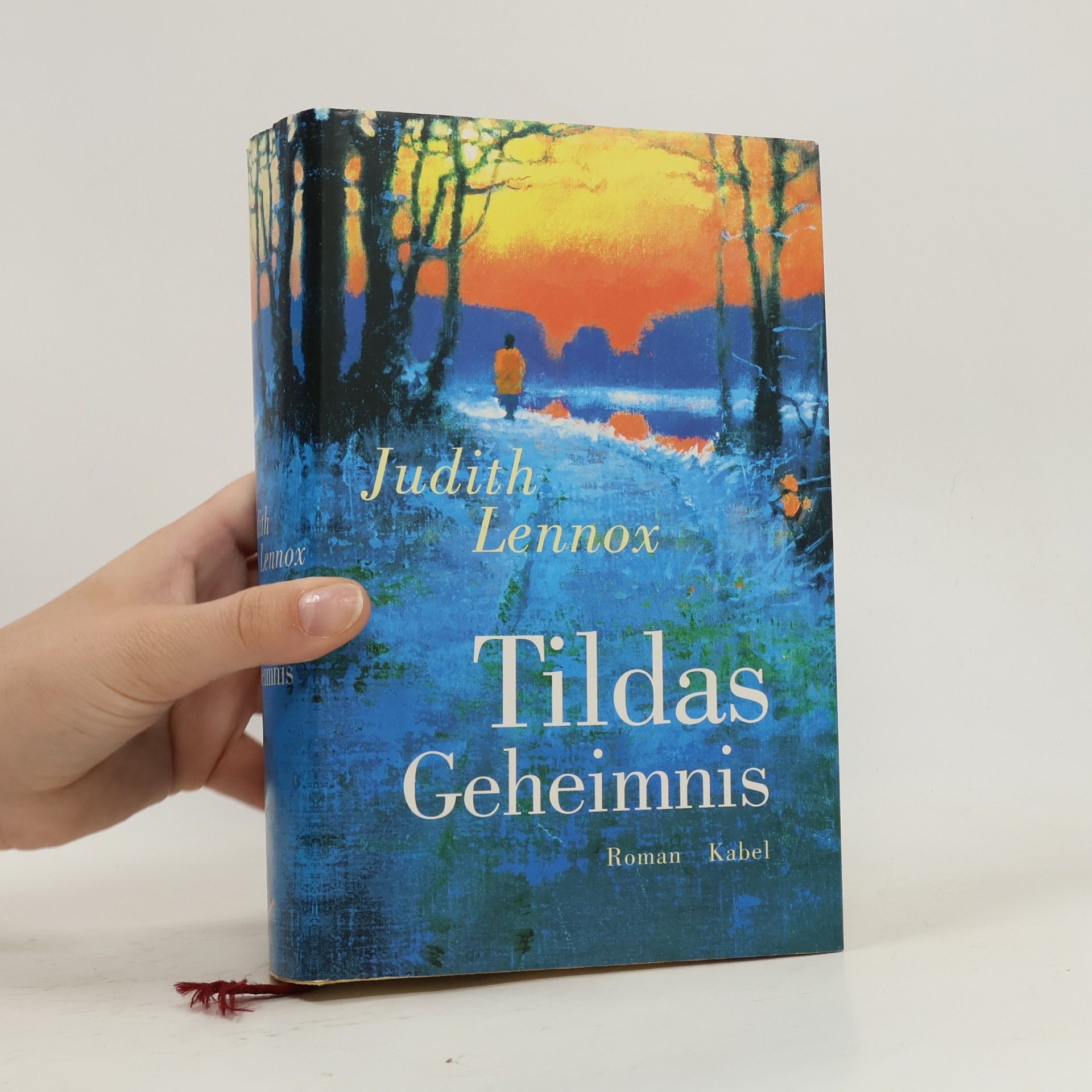 Judith Lennox Tildas Geheimnis