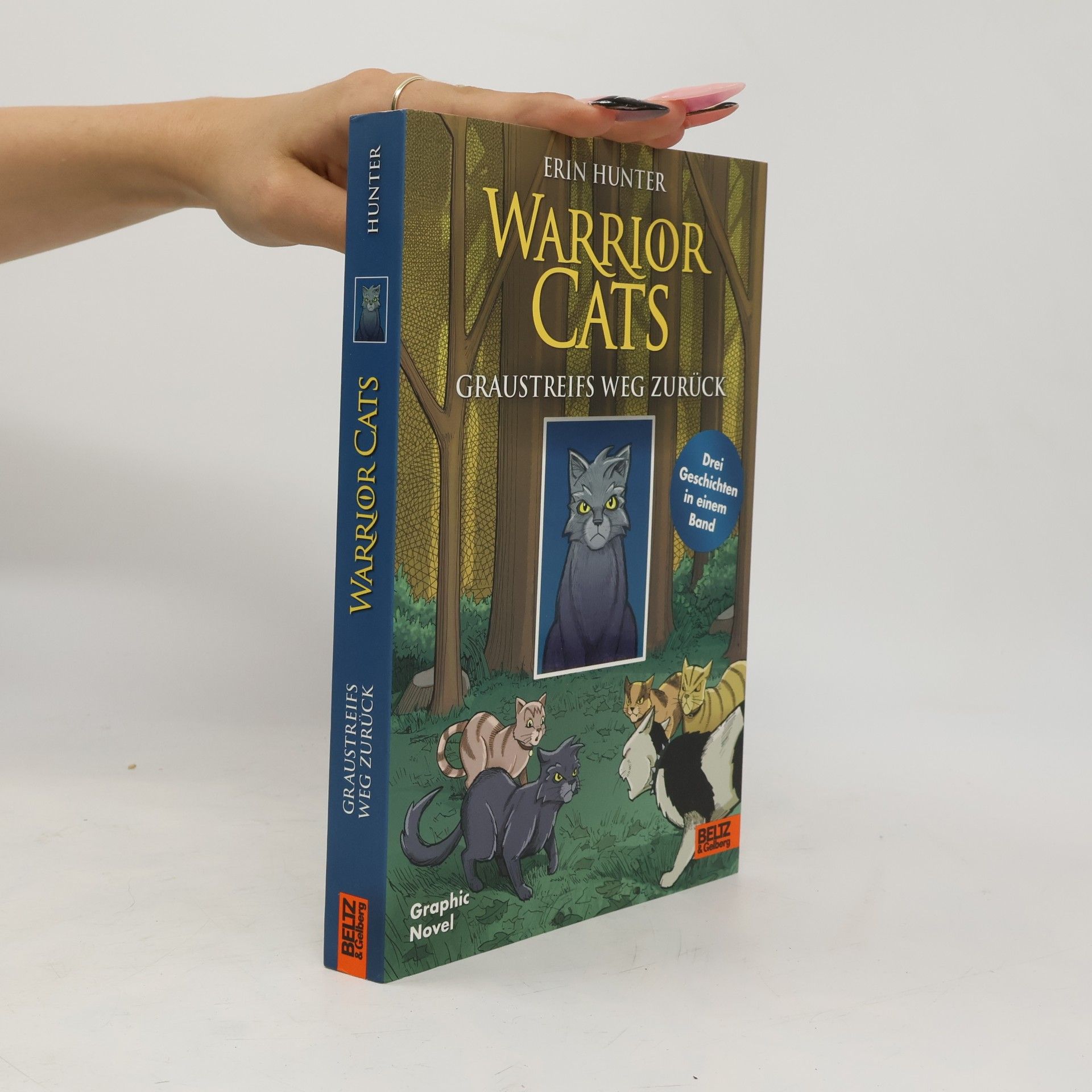 Erin Hunter Warrior Cats - Graustreifs Weg zurück