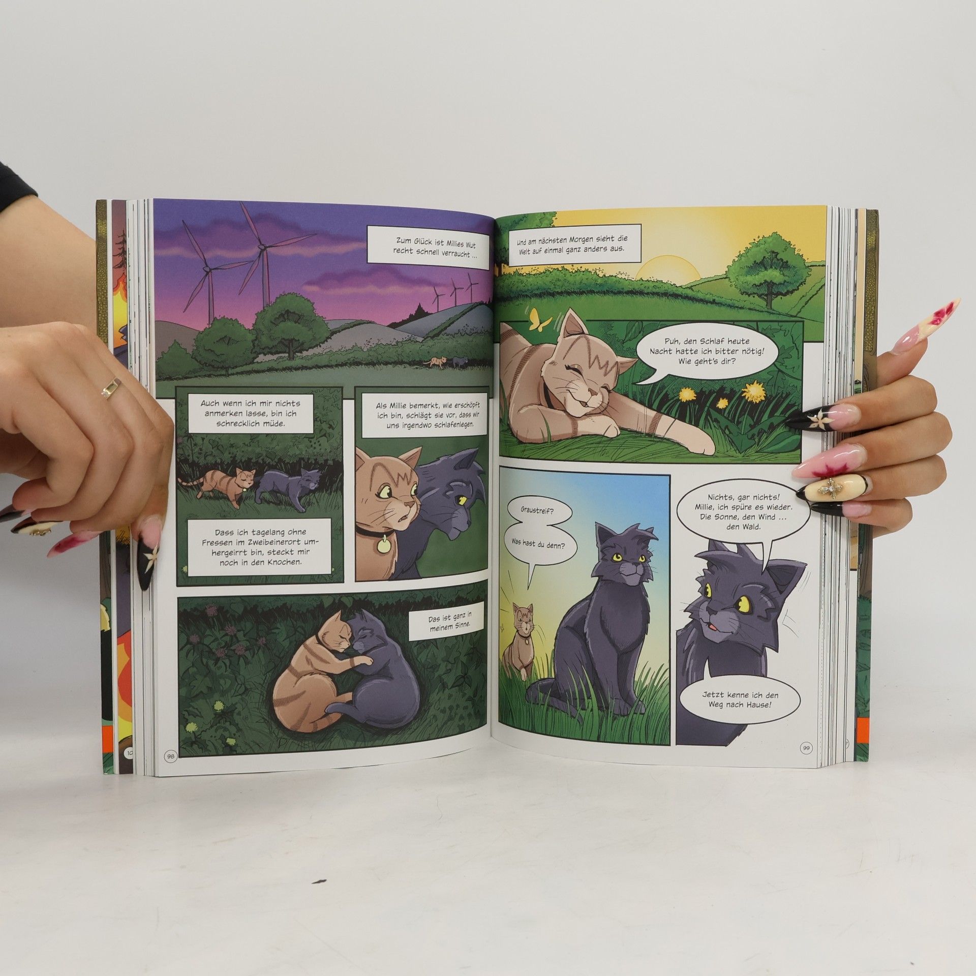 Erin Hunter Warrior Cats - Graustreifs Weg zurück