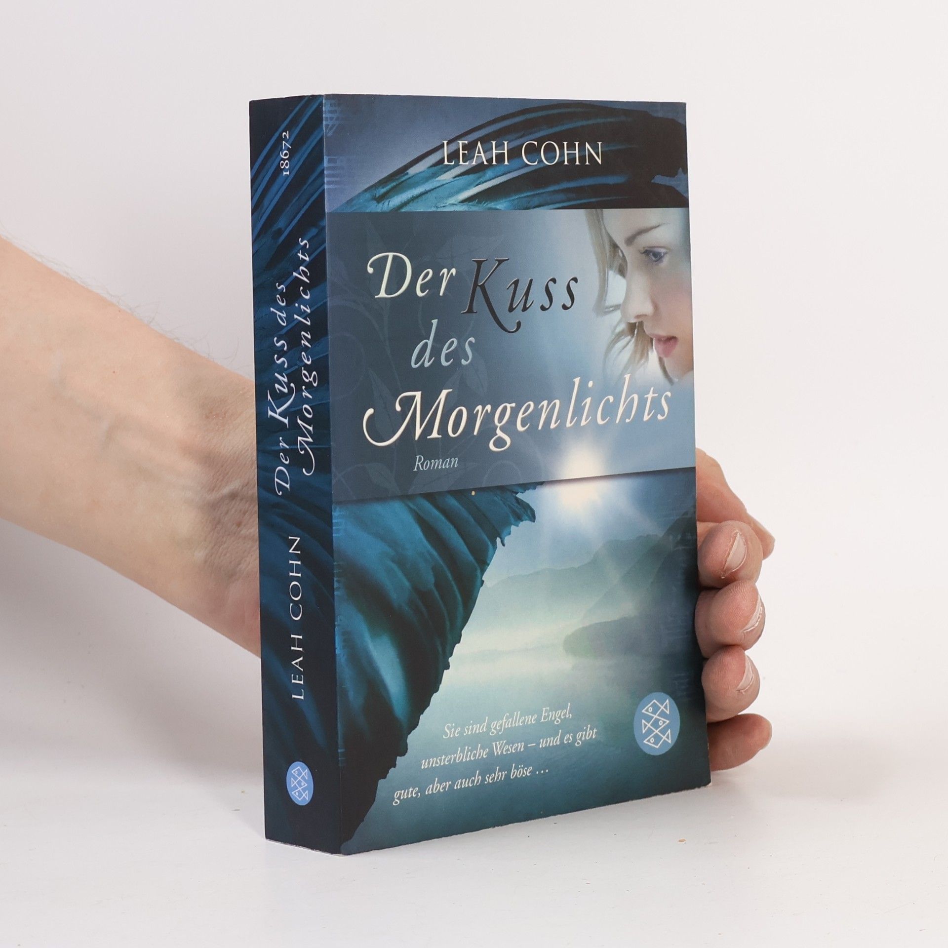 Leah Cohn Der Kuss des Morgenlichts