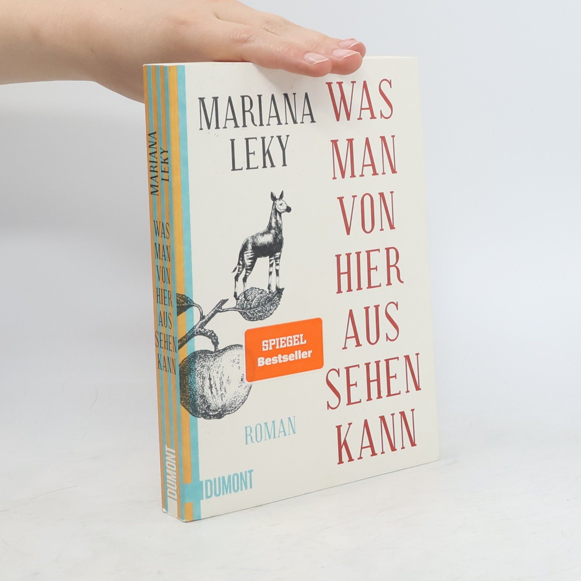 Mariana Leky Was man von hier aus sehen kann