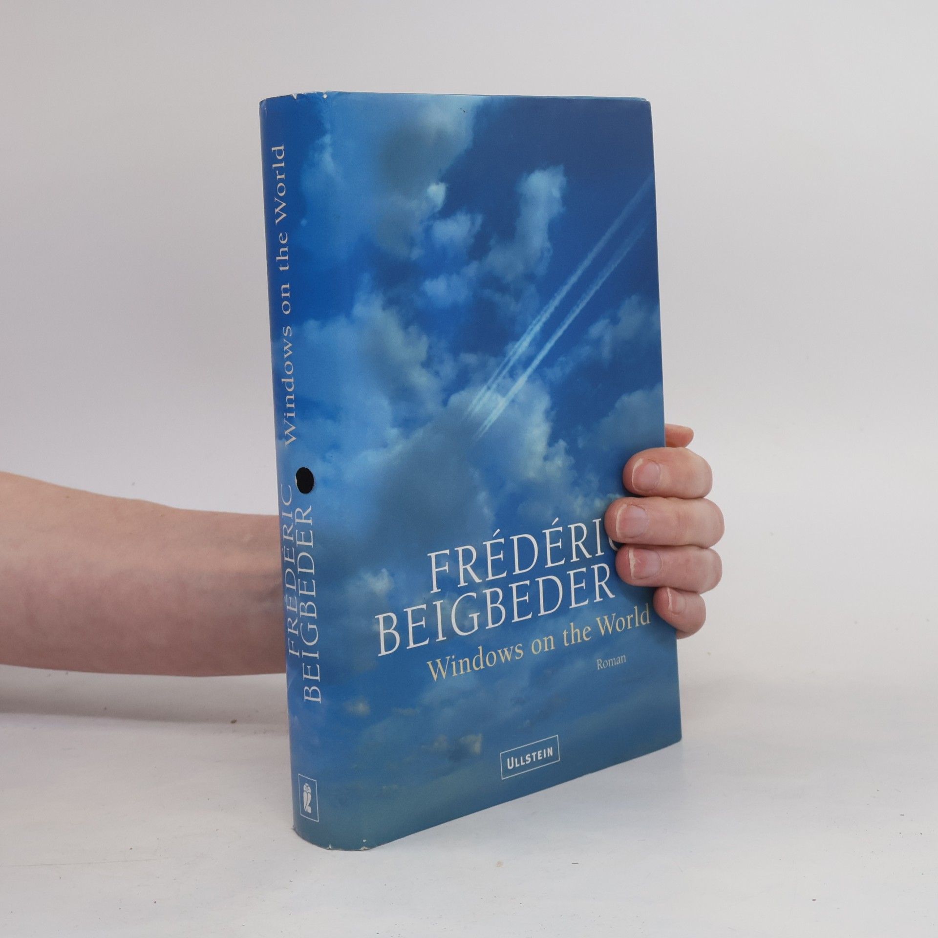 Frédéric Beigbeder Windows on the World