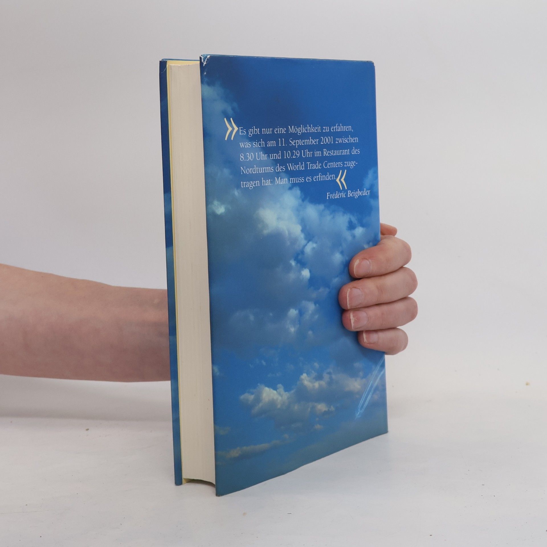 Frédéric Beigbeder Windows on the World