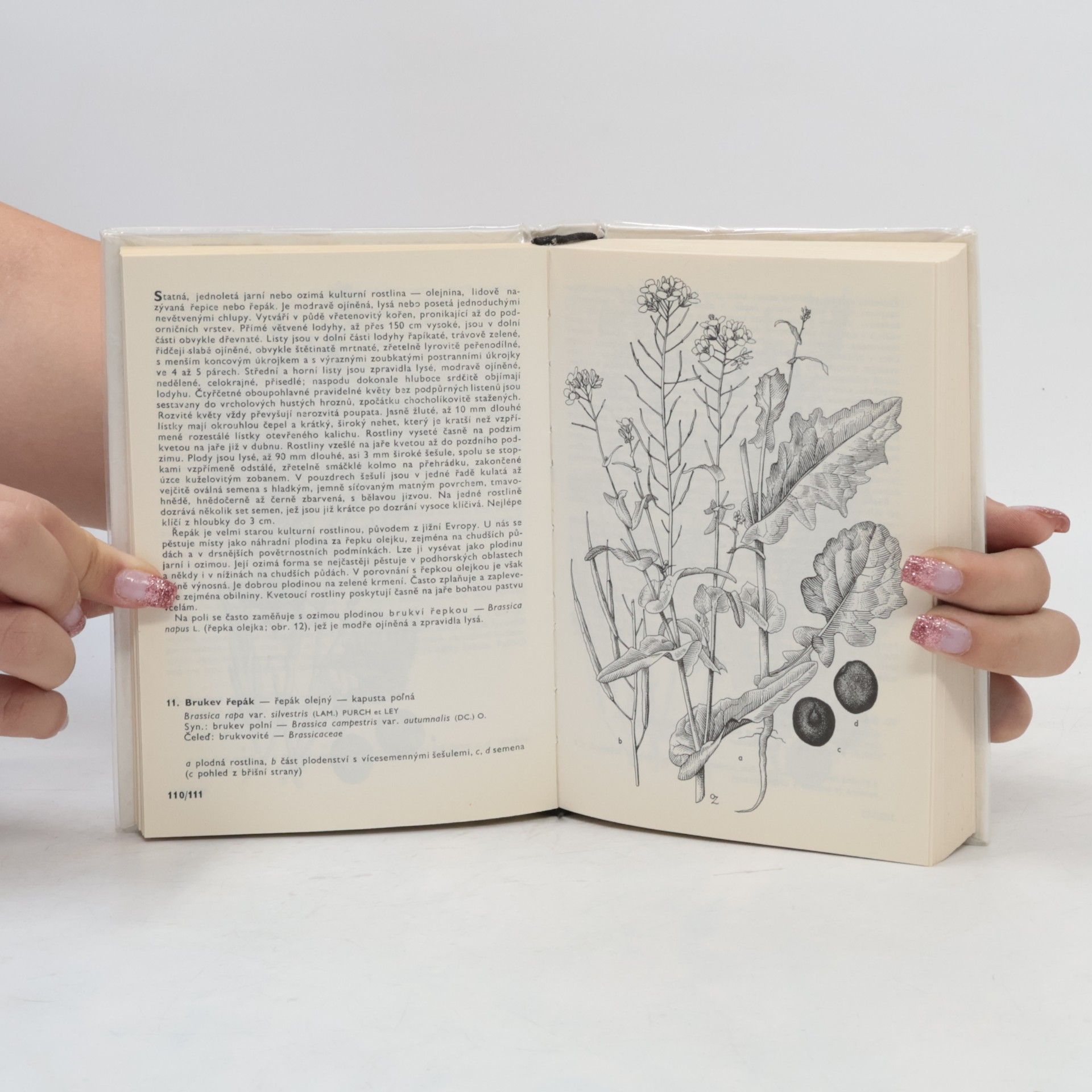 František Hron Kapesní atlas. Rostliny polí a zahrad