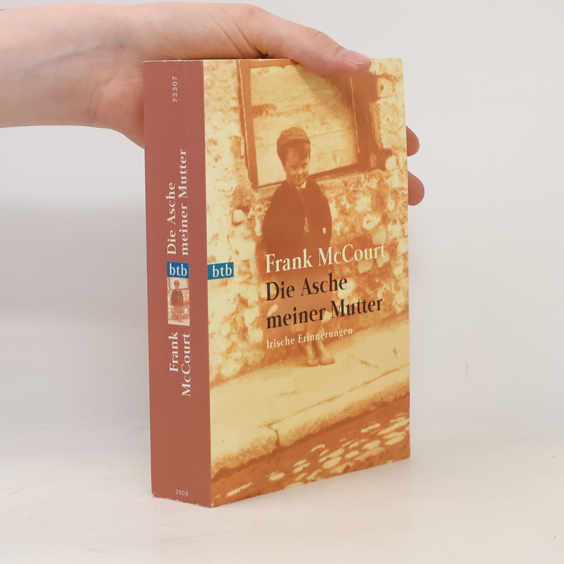 Frank McCourt Die Asche meiner Mutter