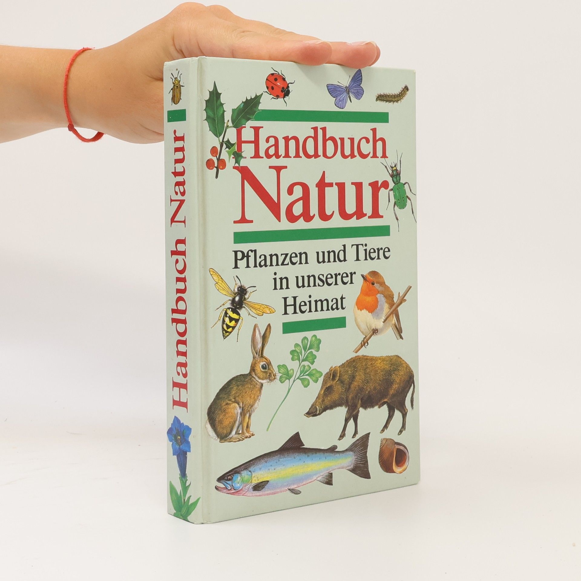 Marcus Würmli Handbuch Natur