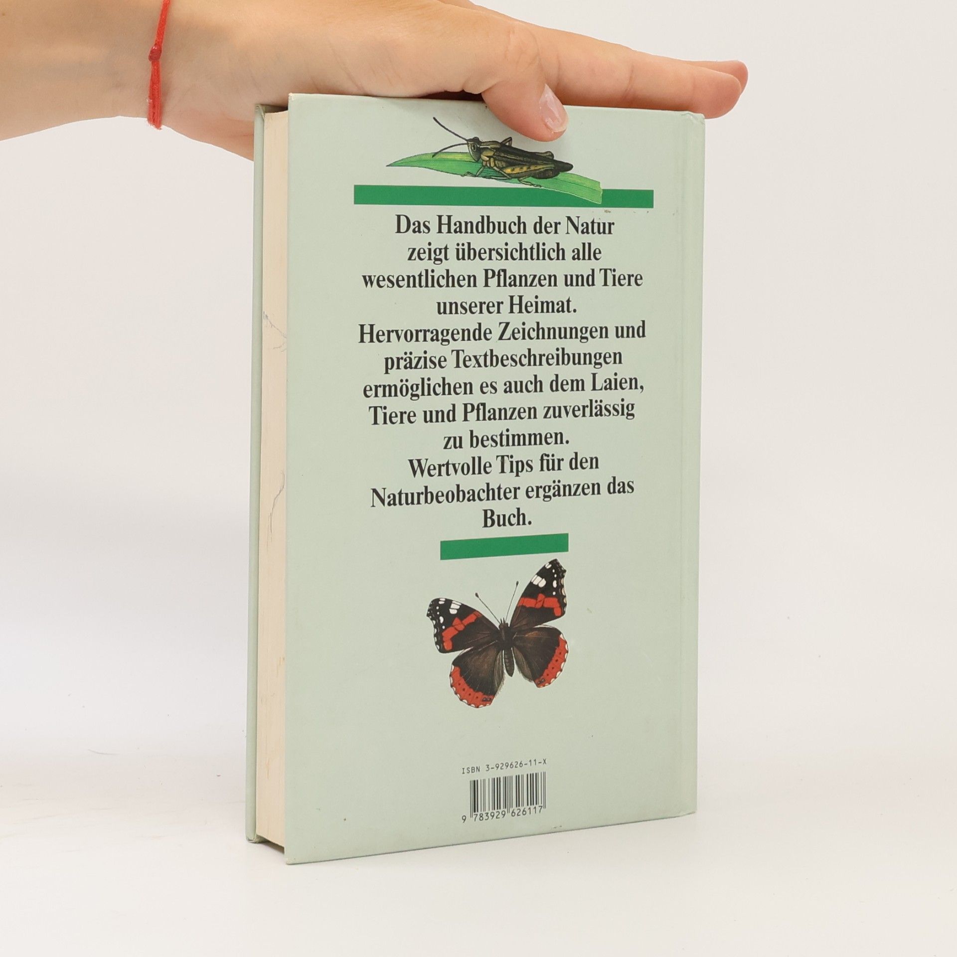 Marcus Würmli Handbuch Natur