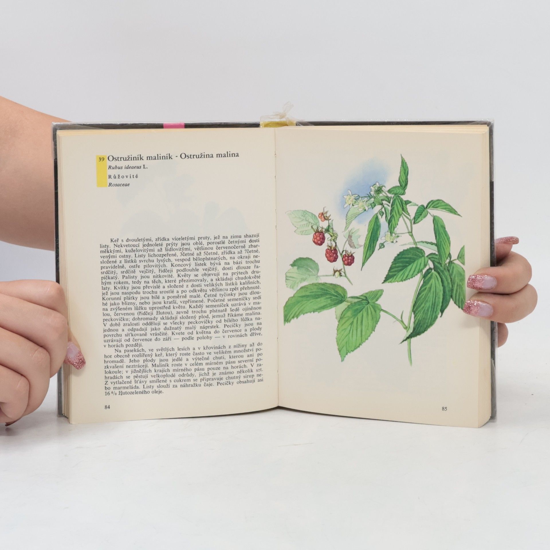 Otto Ušák Kapesní atlas rostlin