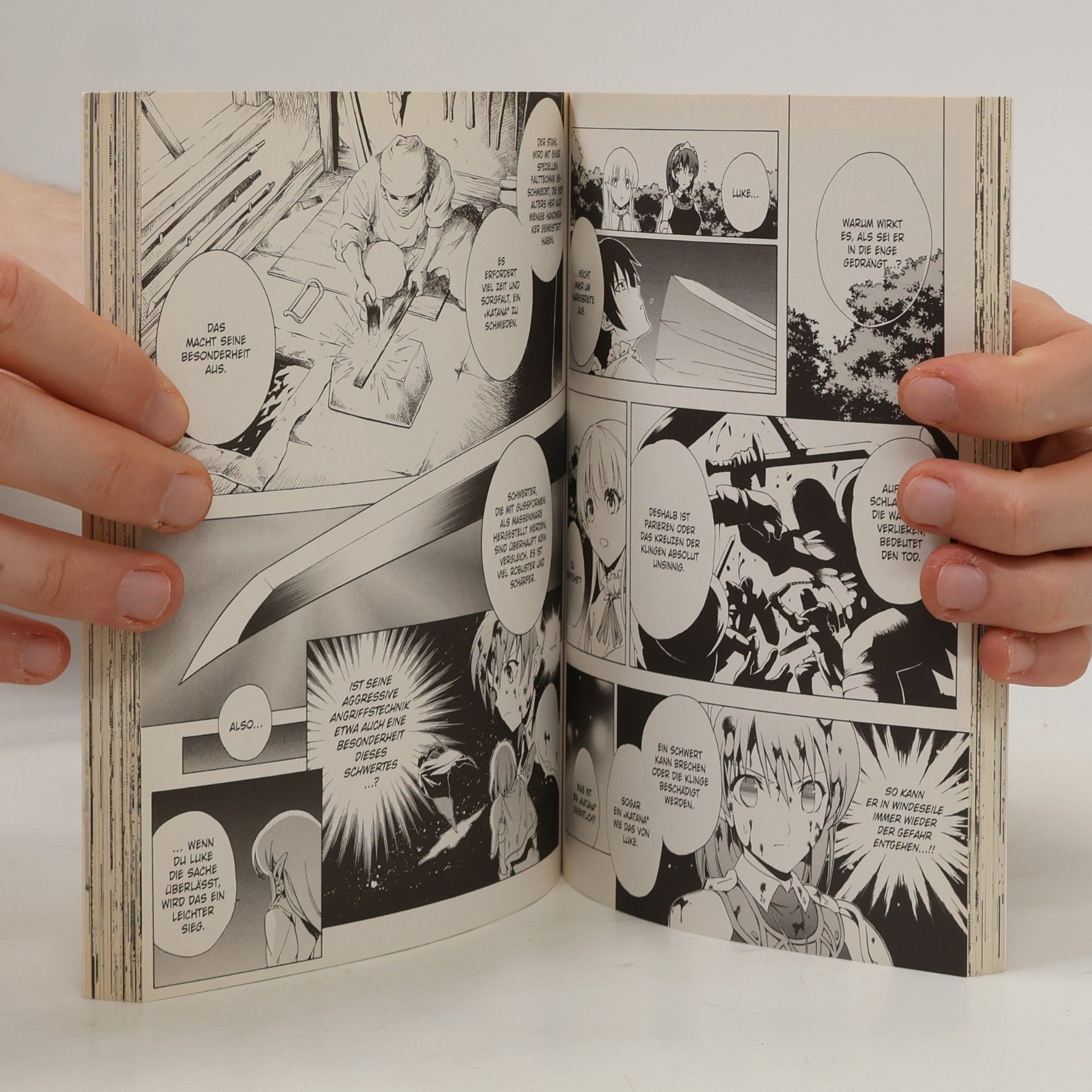 Koutaro Yamada The Sacred Blacksmith. Bd.1