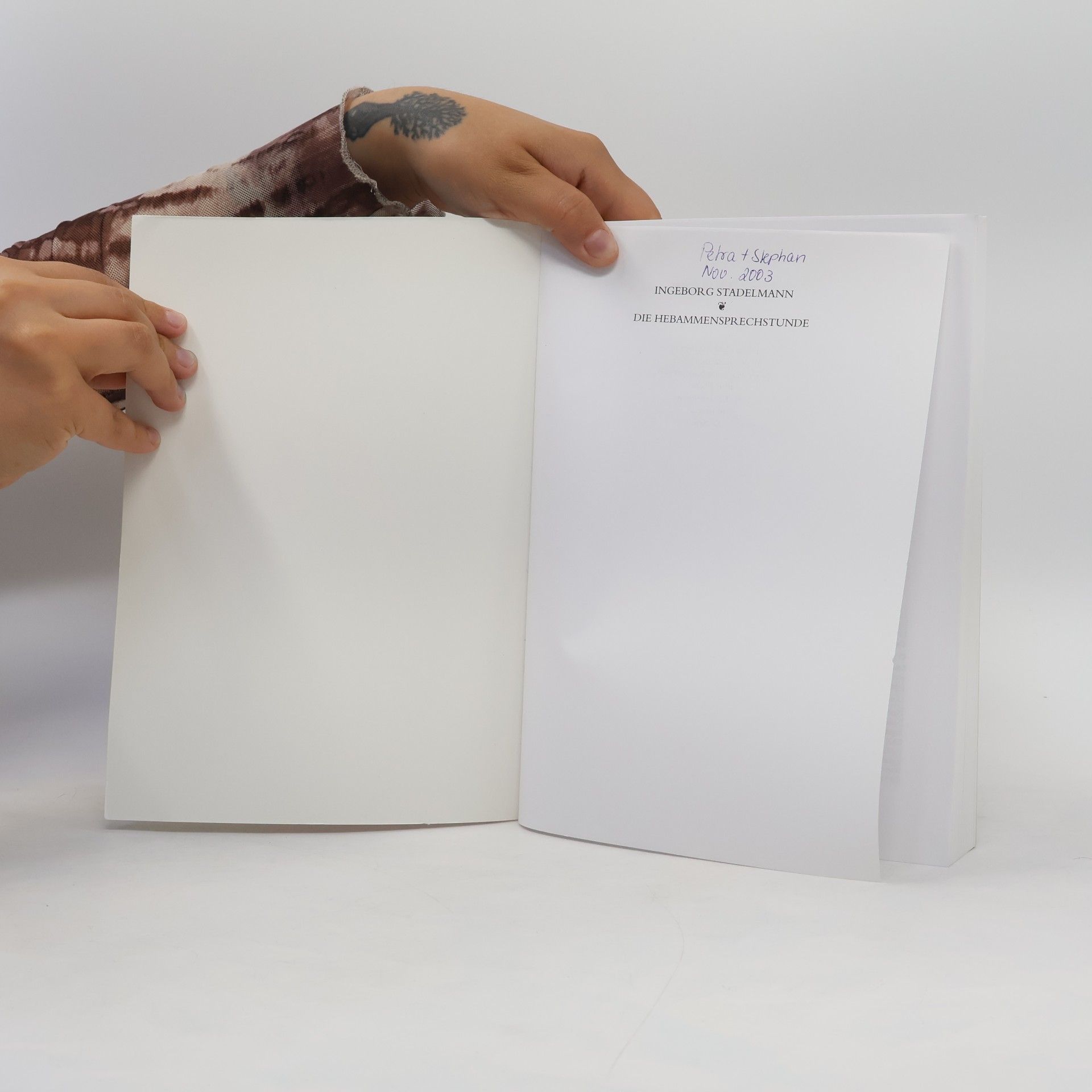 Ingeborg Stadelmann Die Hebammensprechstunde