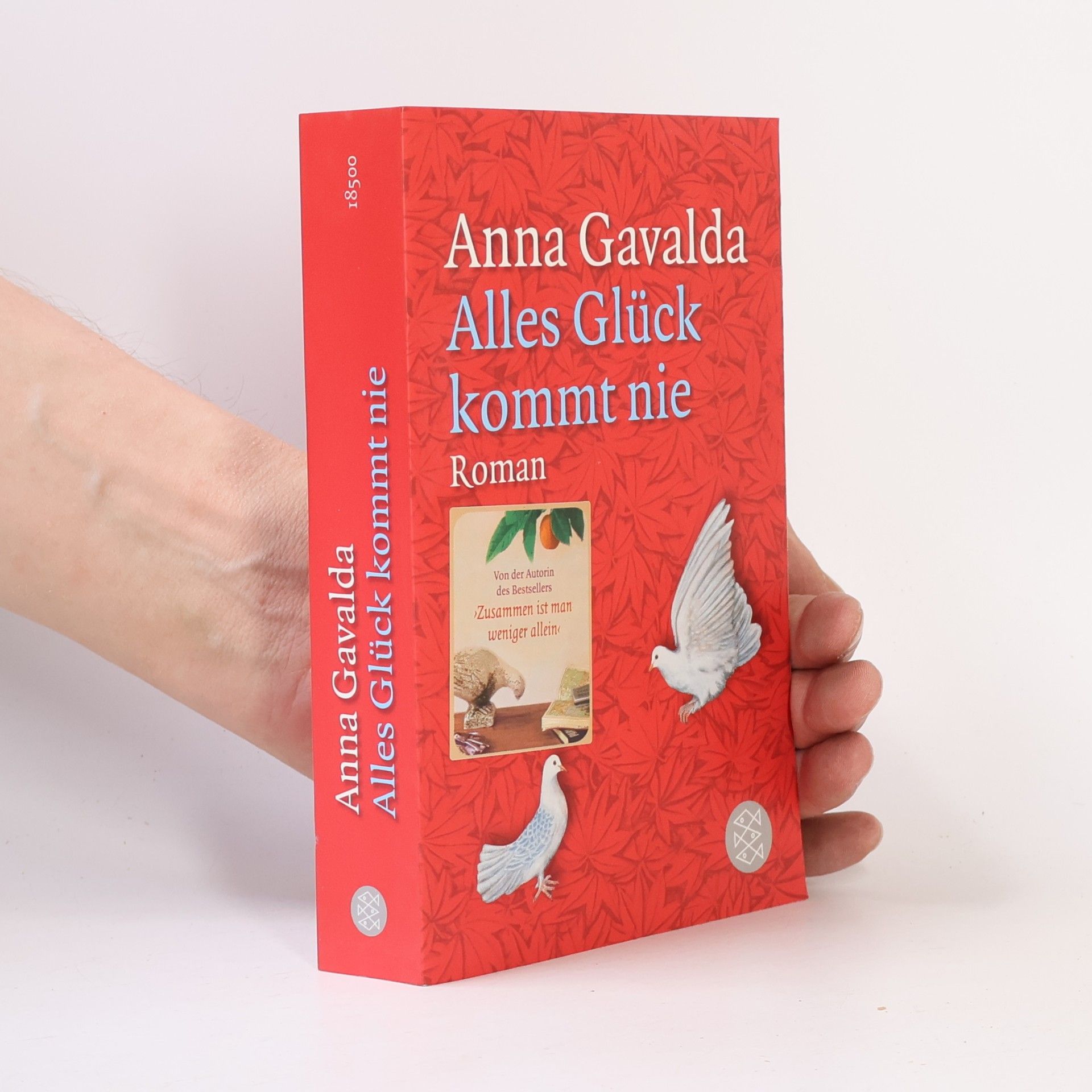 Anna Gavalda Alles Glück kommt nie