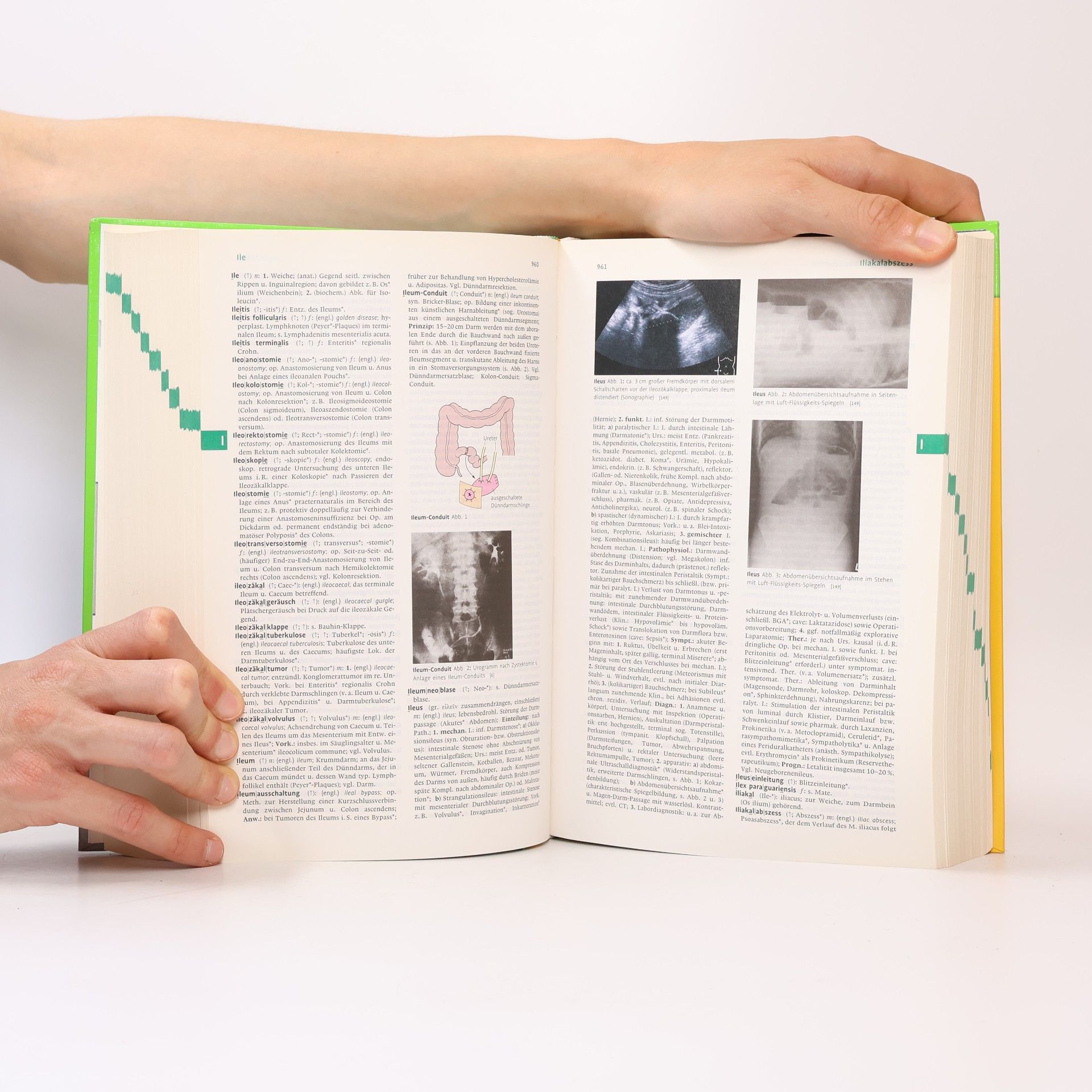Willibald Pschyrembel Pschyrembel Klinisches Wörterbuch 2011