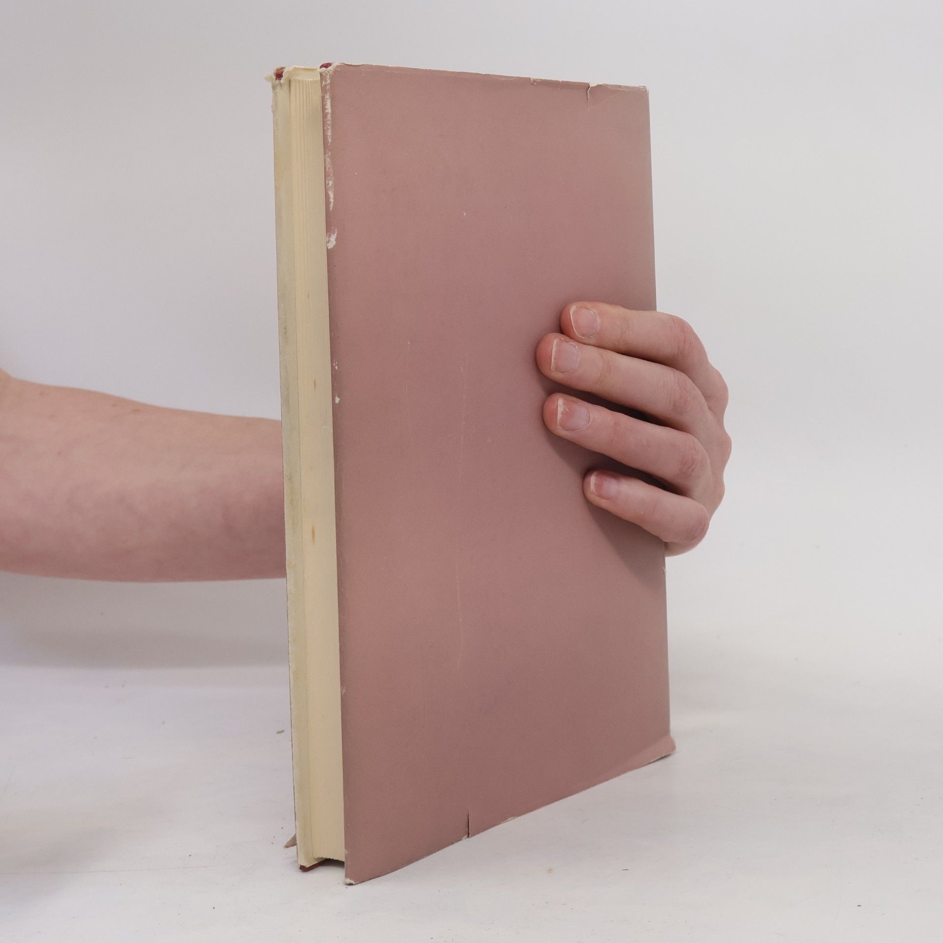 Alfred Diamant Die österreichischen Katholiken und die Erste Republik