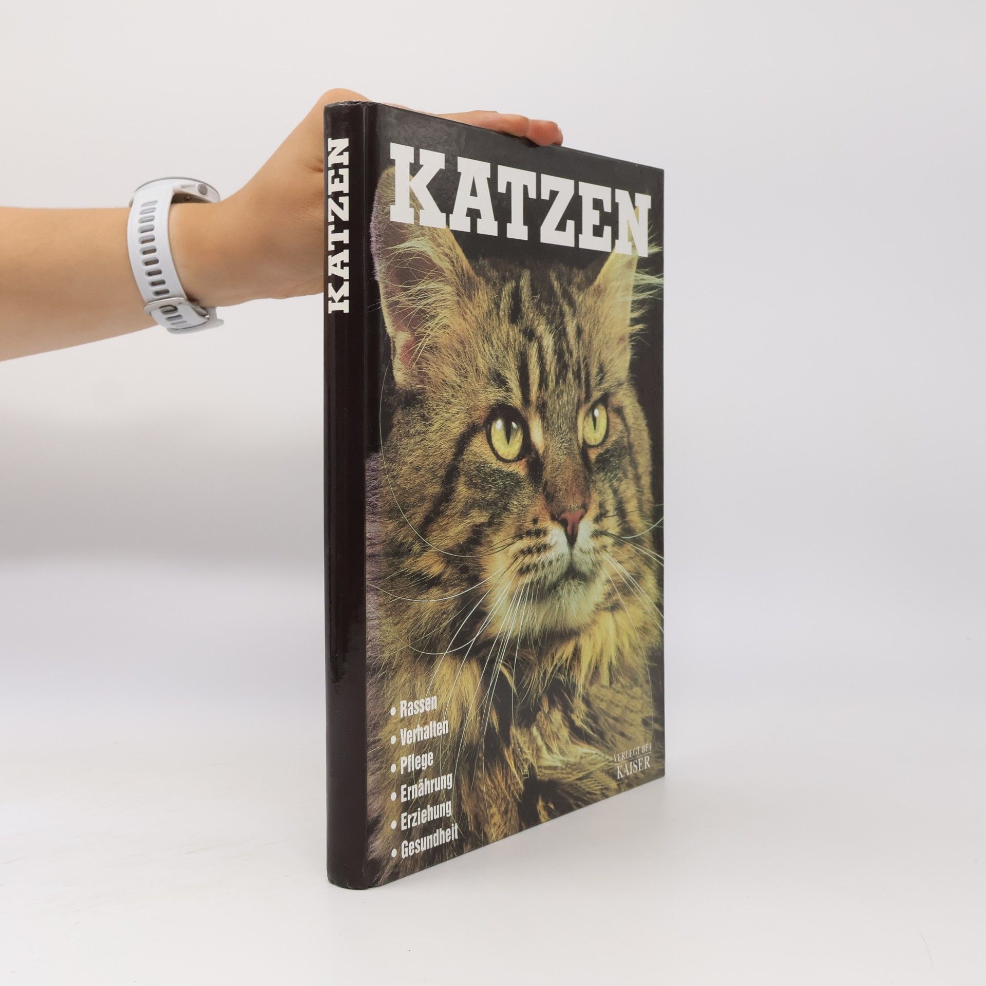 Autorenkollektiv Katzen
