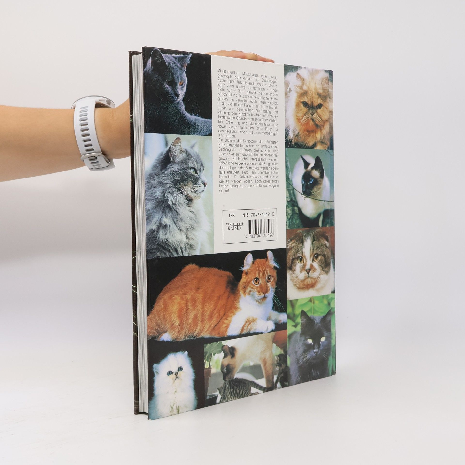 Autorenkollektiv Katzen