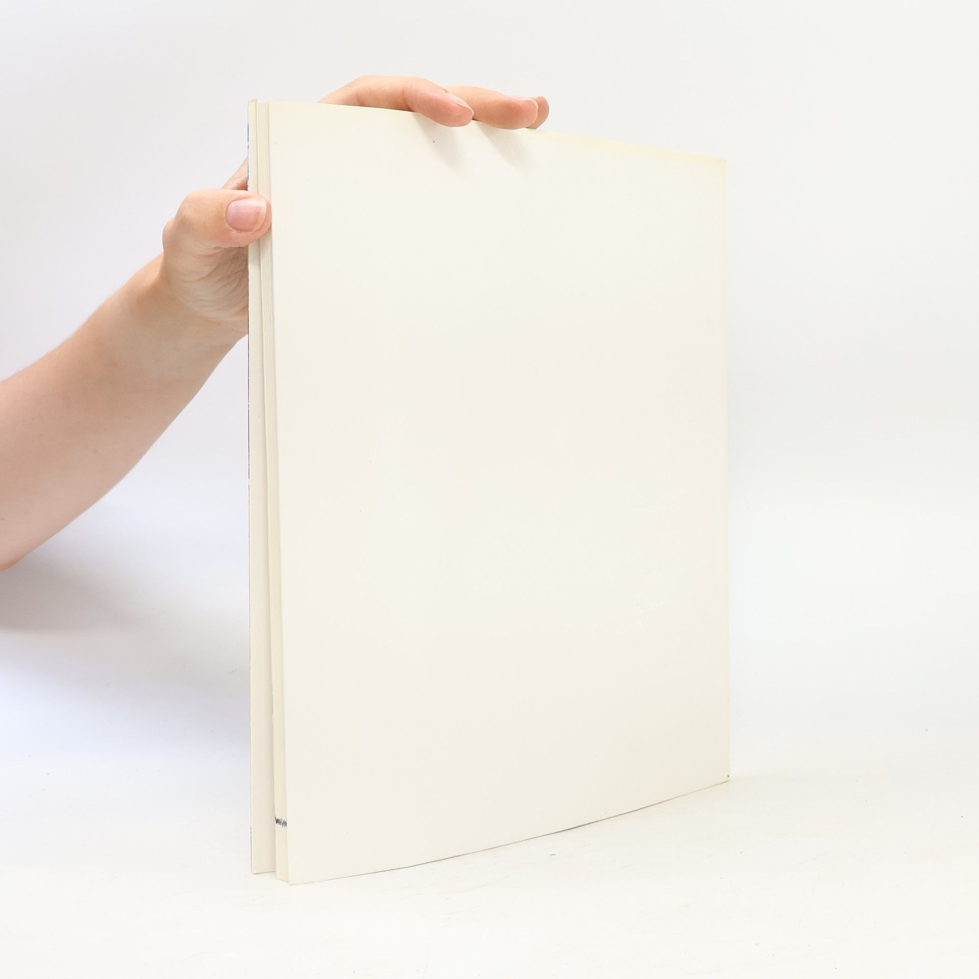 Autorenkollektiv Katalog Testen