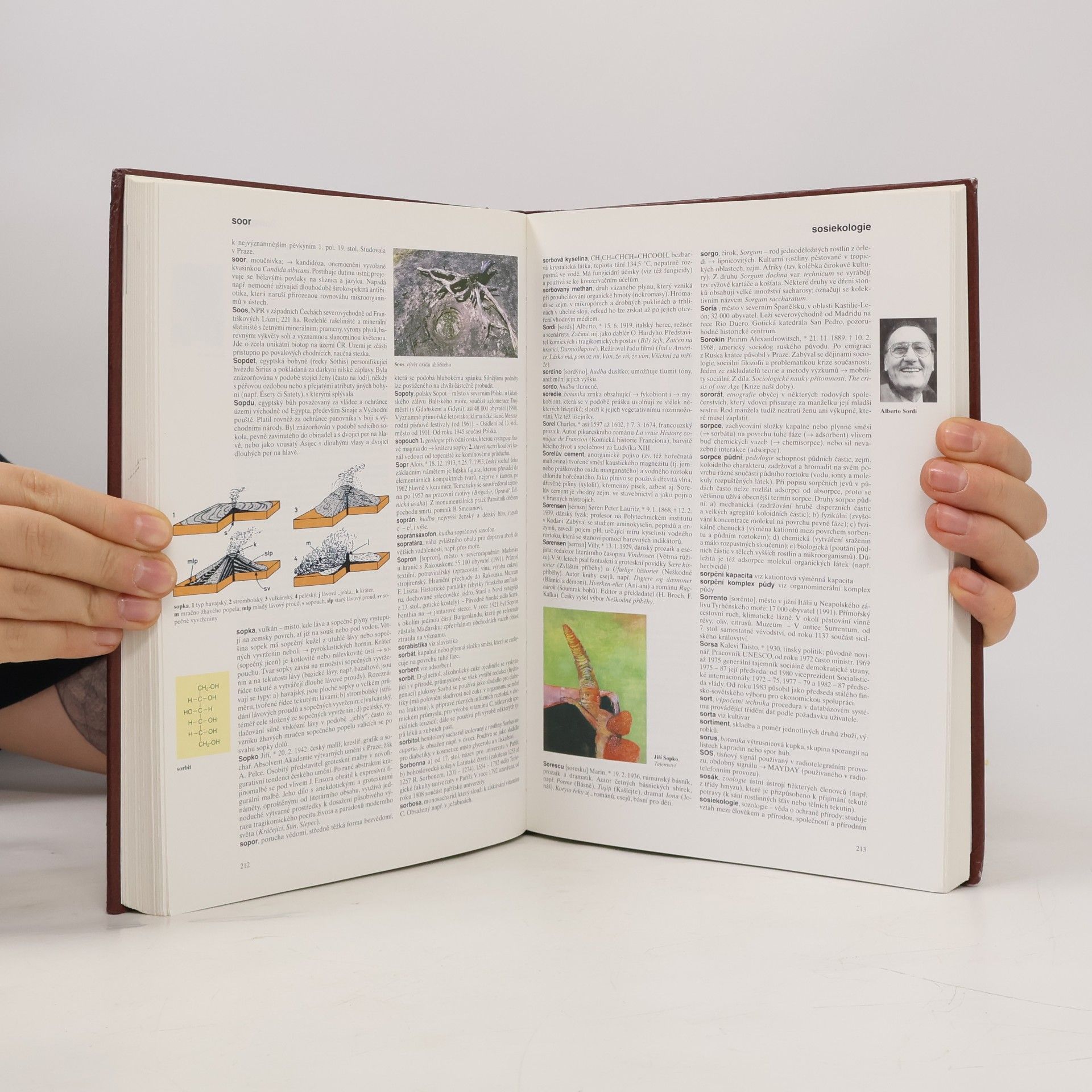 Various authors Všeobecná encyklopedie v osmi svazcích. 7 ř/š