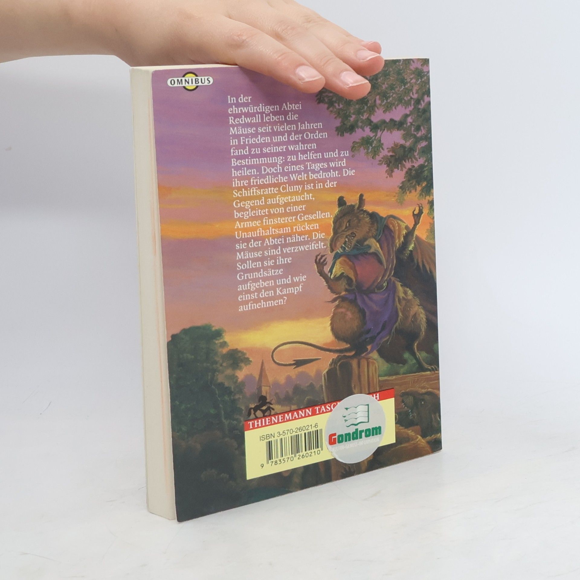 Brian Jacques Redwall. Die Mauer