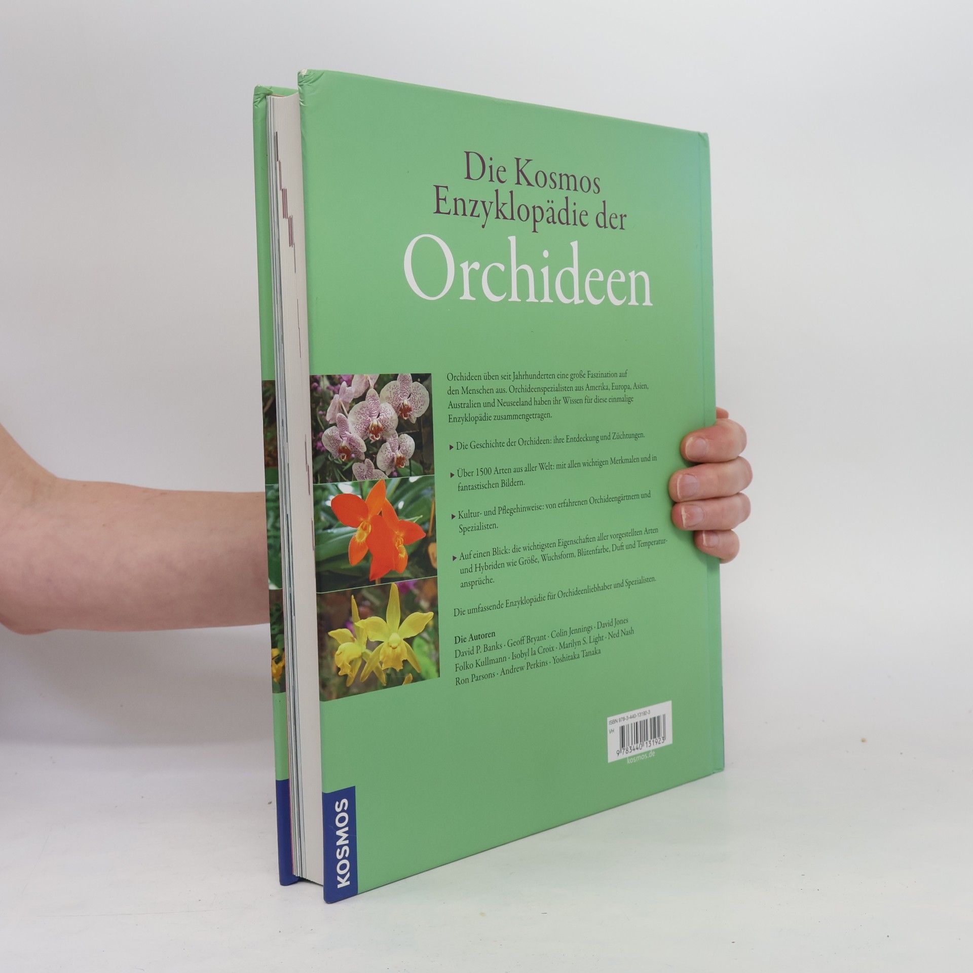 Folko Kullmann Die Kosmos-Enzyklopädie der Orchideen
