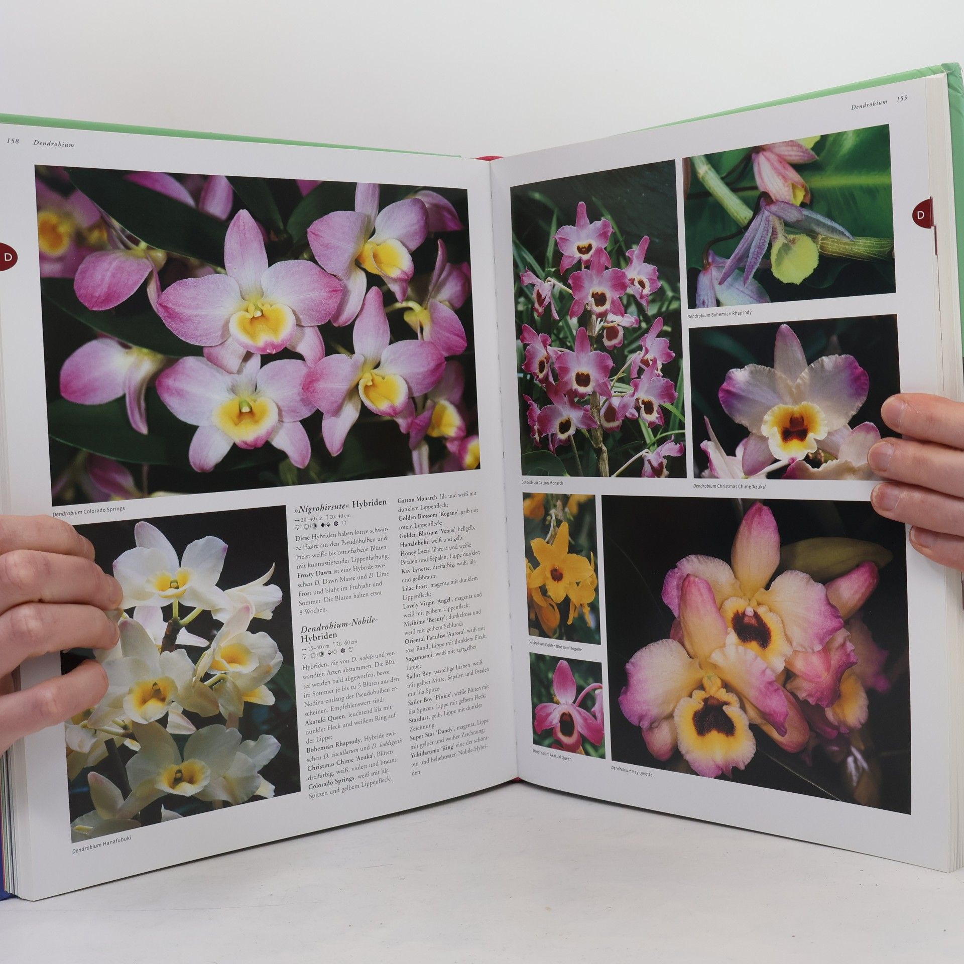 Folko Kullmann Die Kosmos-Enzyklopädie der Orchideen